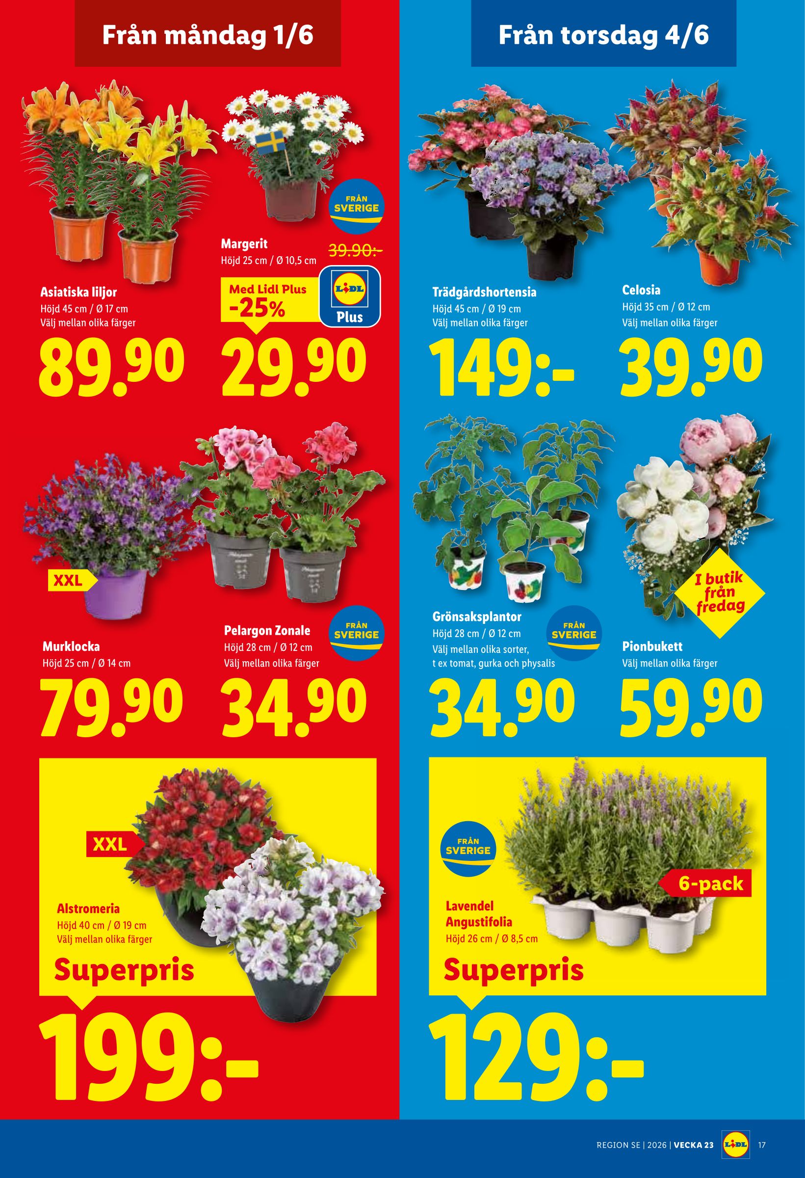 lidl - Nytt Lidl reklamblad från måndag, 01/06/2026 till söndag, 07/06/2026 - page: 20