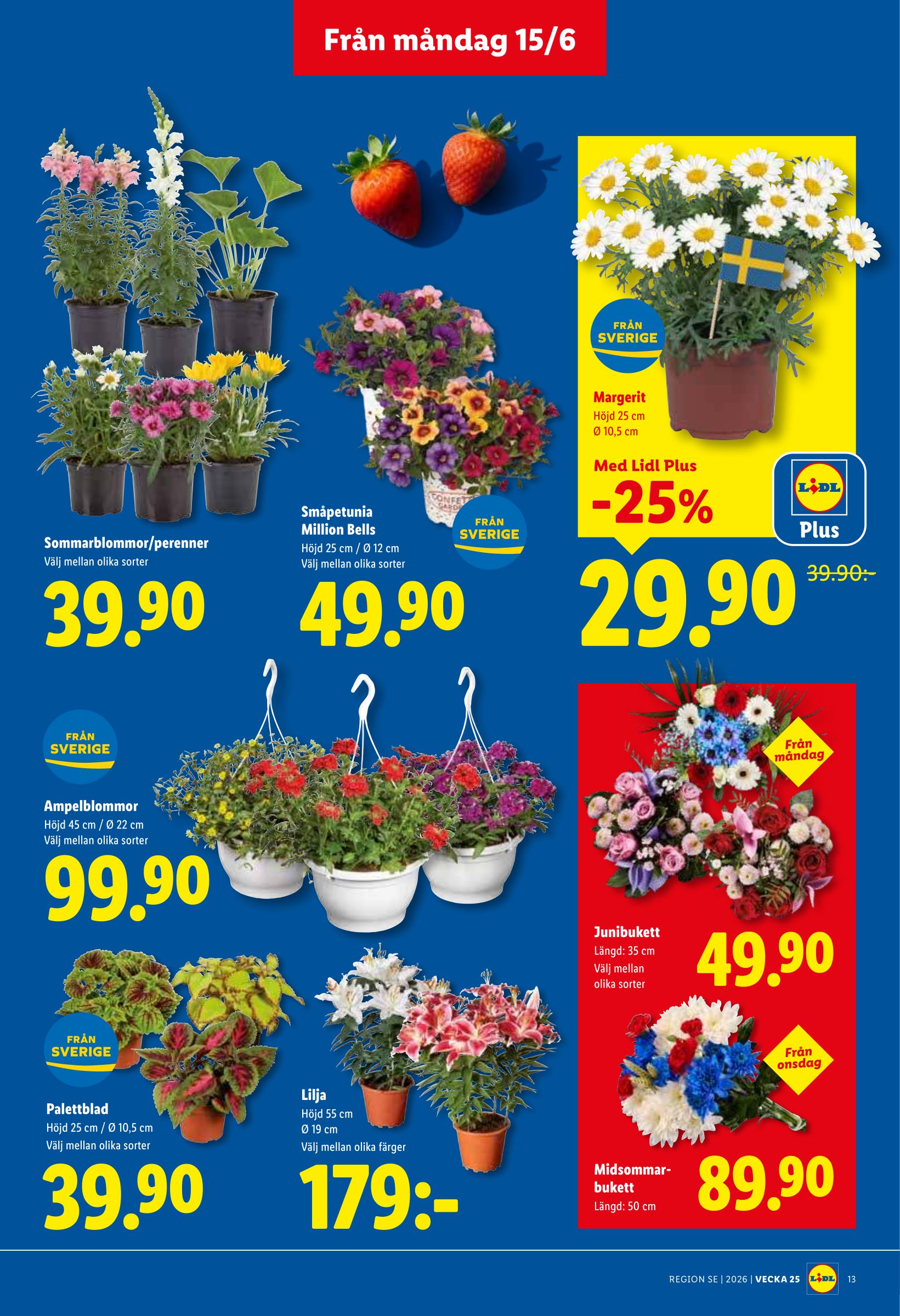 lidl - Nytt Lidl reklamblad från måndag, 15/06/2026 till söndag, 21/06/2026 - page: 15