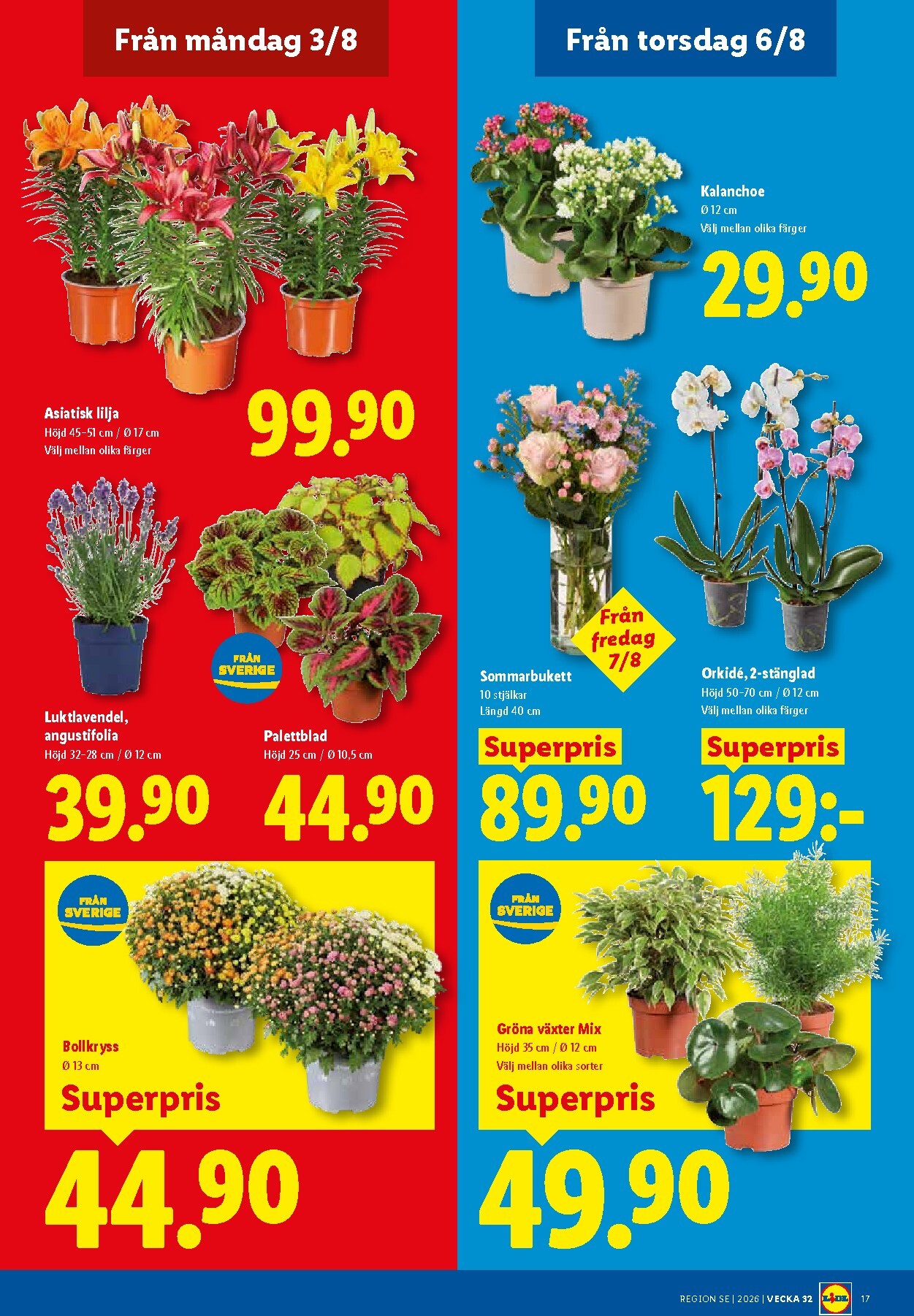 lidl - Aktuellt Lidl reklamblad från måndag, 03/08/2026 till söndag, 09/08/2026 - page: 19