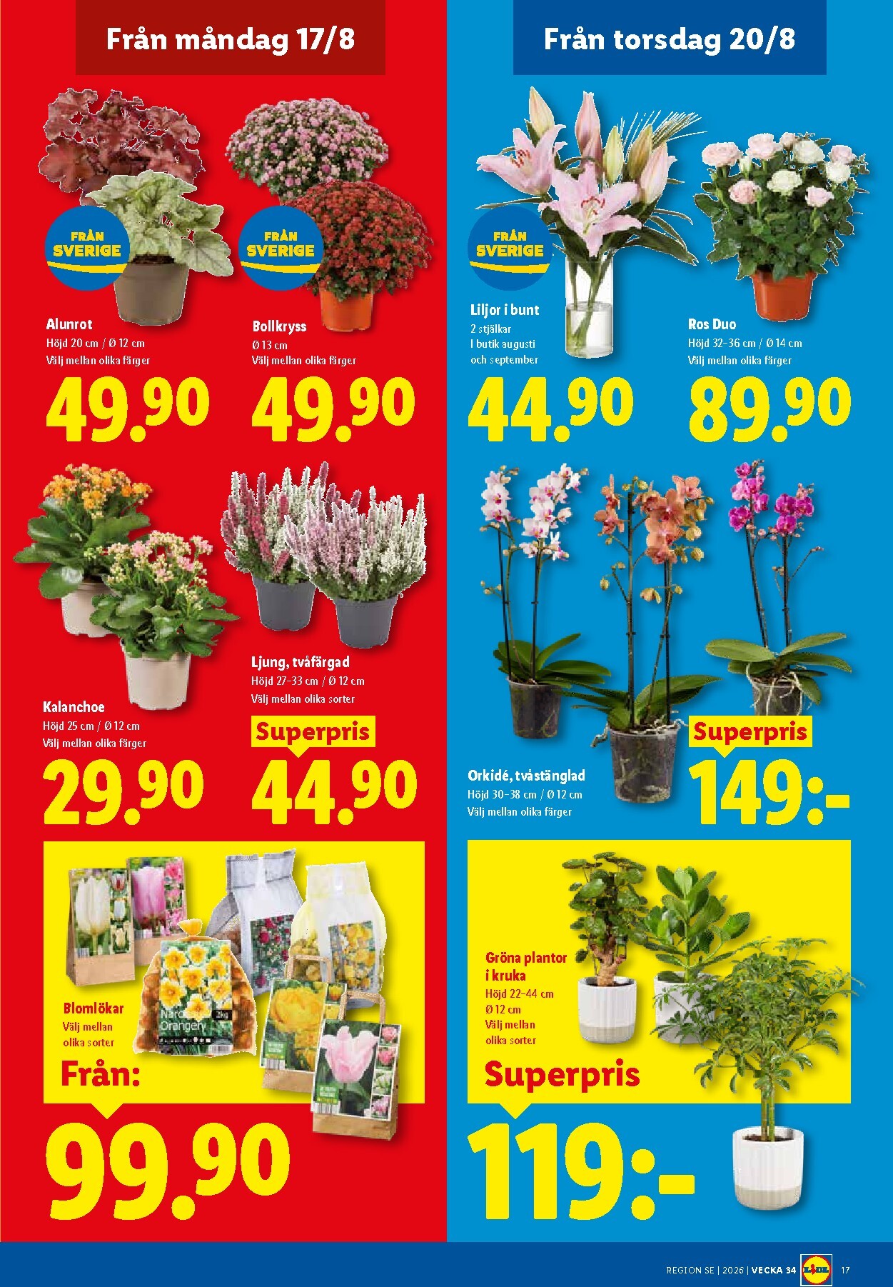 lidl - Aktuellt Lidl reklamblad från måndag, 17/08/2026 till söndag, 23/08/2026 - page: 21