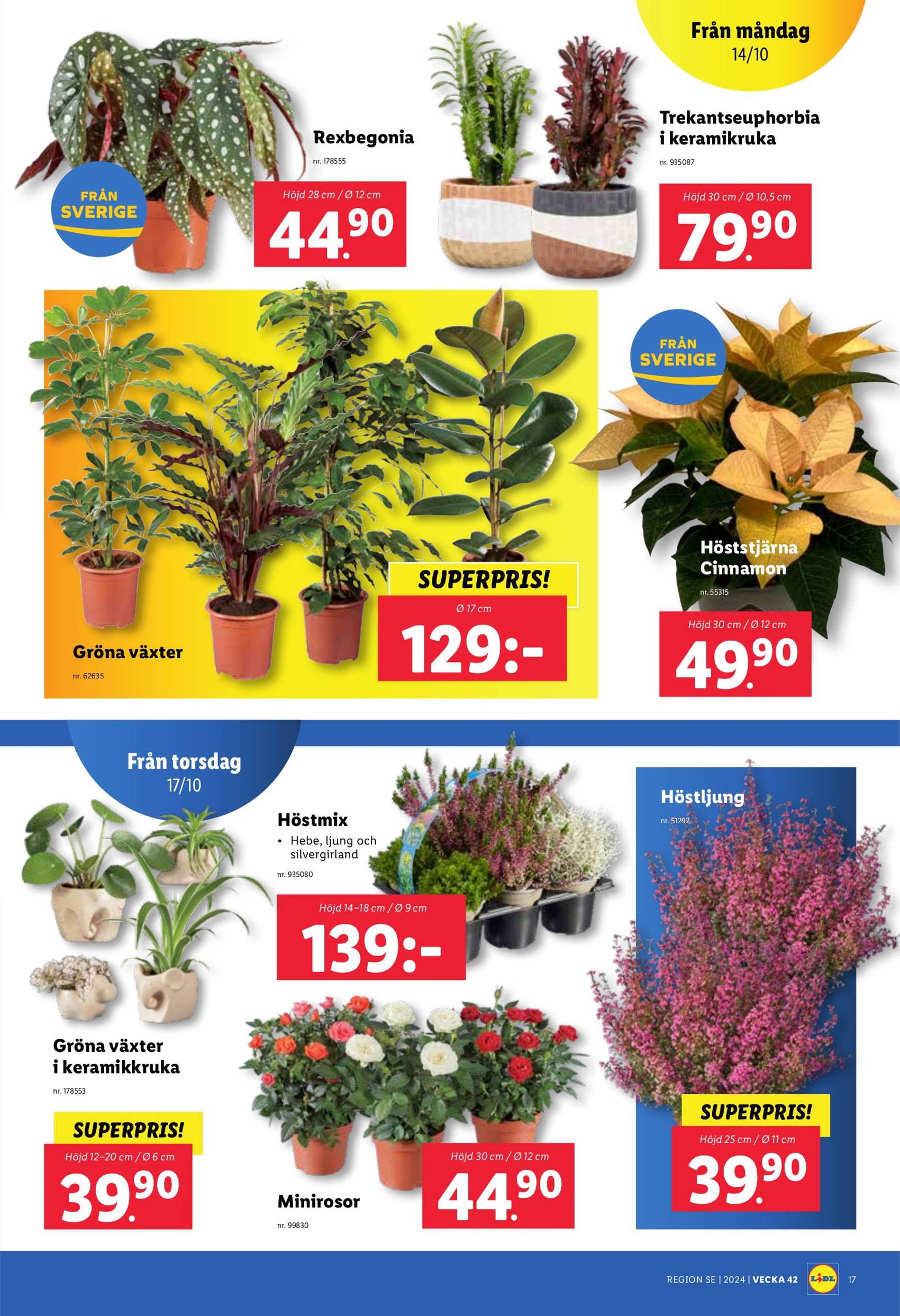 lidl - Lidl-reklambladet är giltigt från 14.10. till 20.10. - page: 23