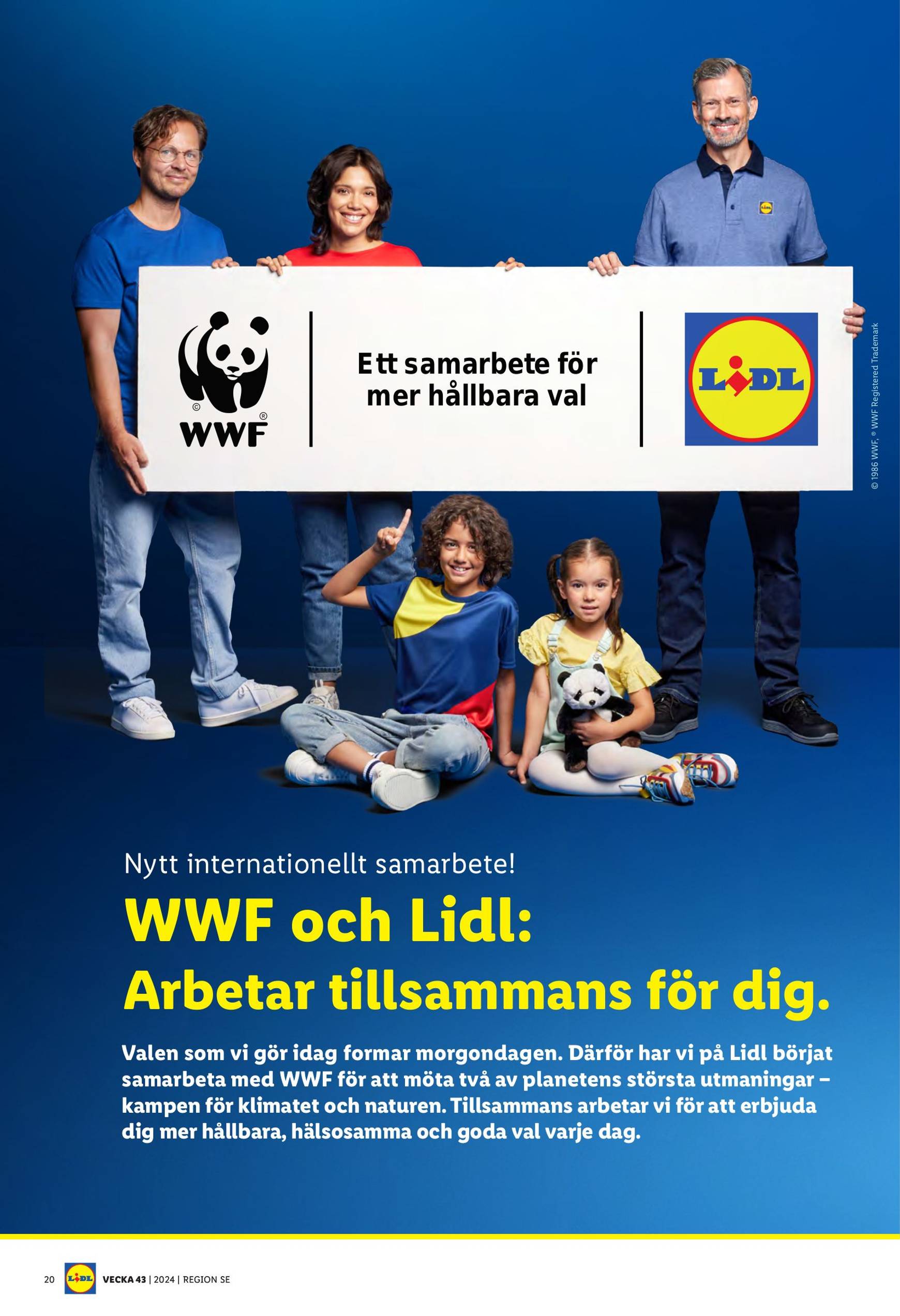 lidl - Lidl-reklambladet är giltigt från 21.10. - 27.10. - page: 28