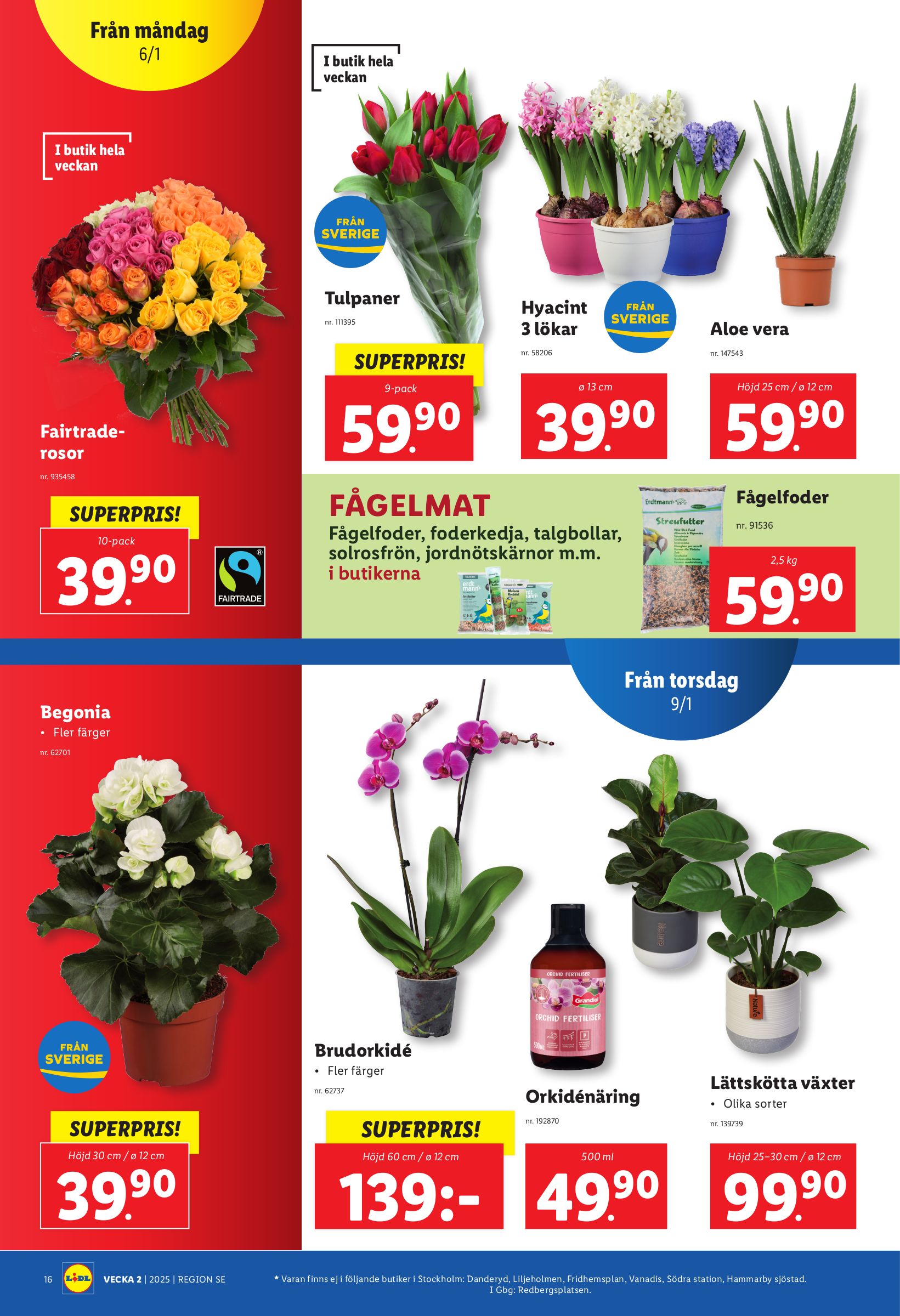 lidl - Lidl-reklambladet giltigt från 06/01 - 12/01 - page: 18