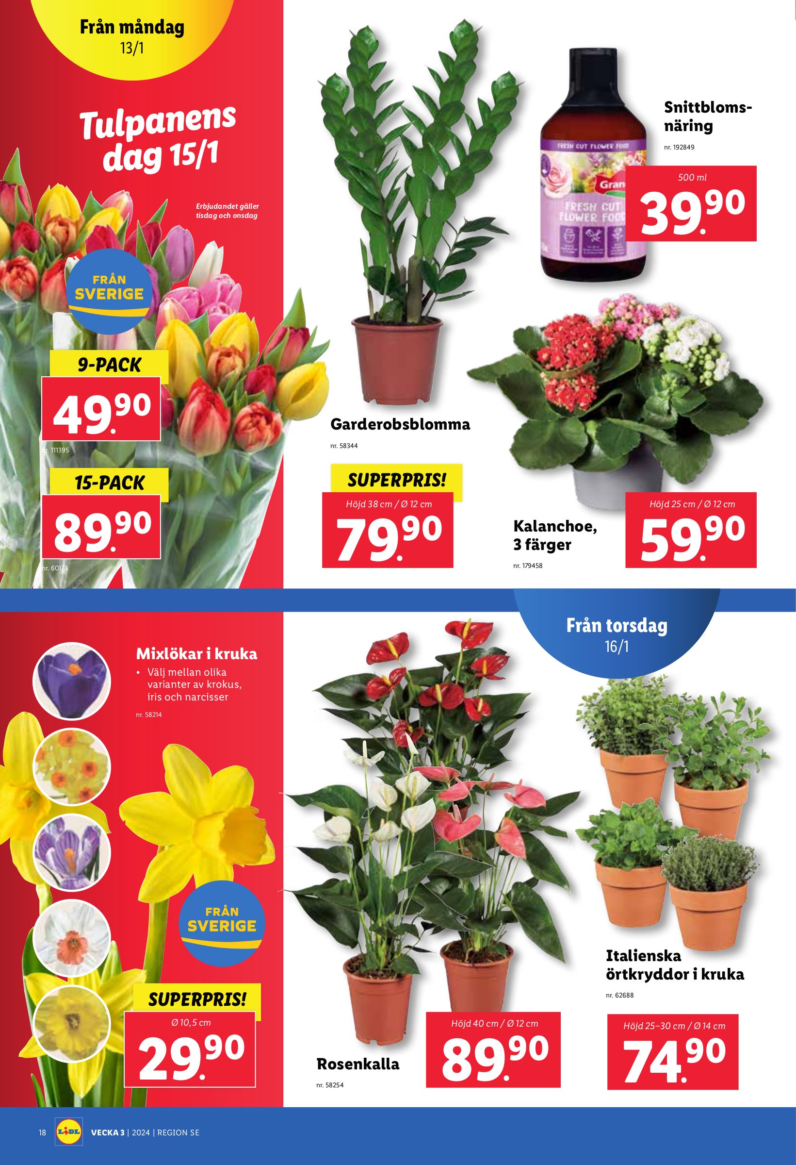 lidl - Lidl-reklambladet giltigt från 13/01 - 19/01 - page: 24