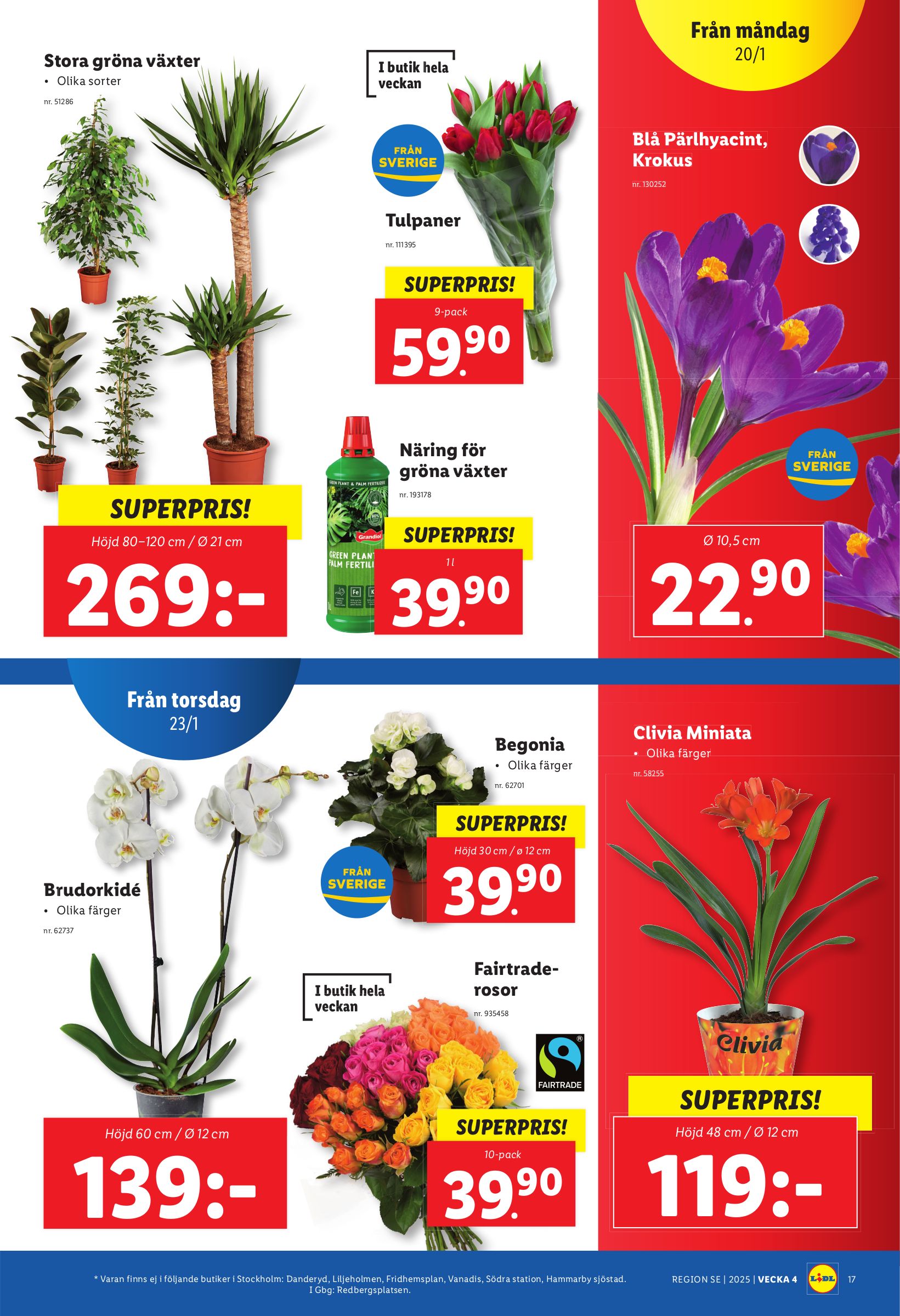 lidl - Lidl-reklambladet giltigt från 20/01 - 26/01 - page: 21