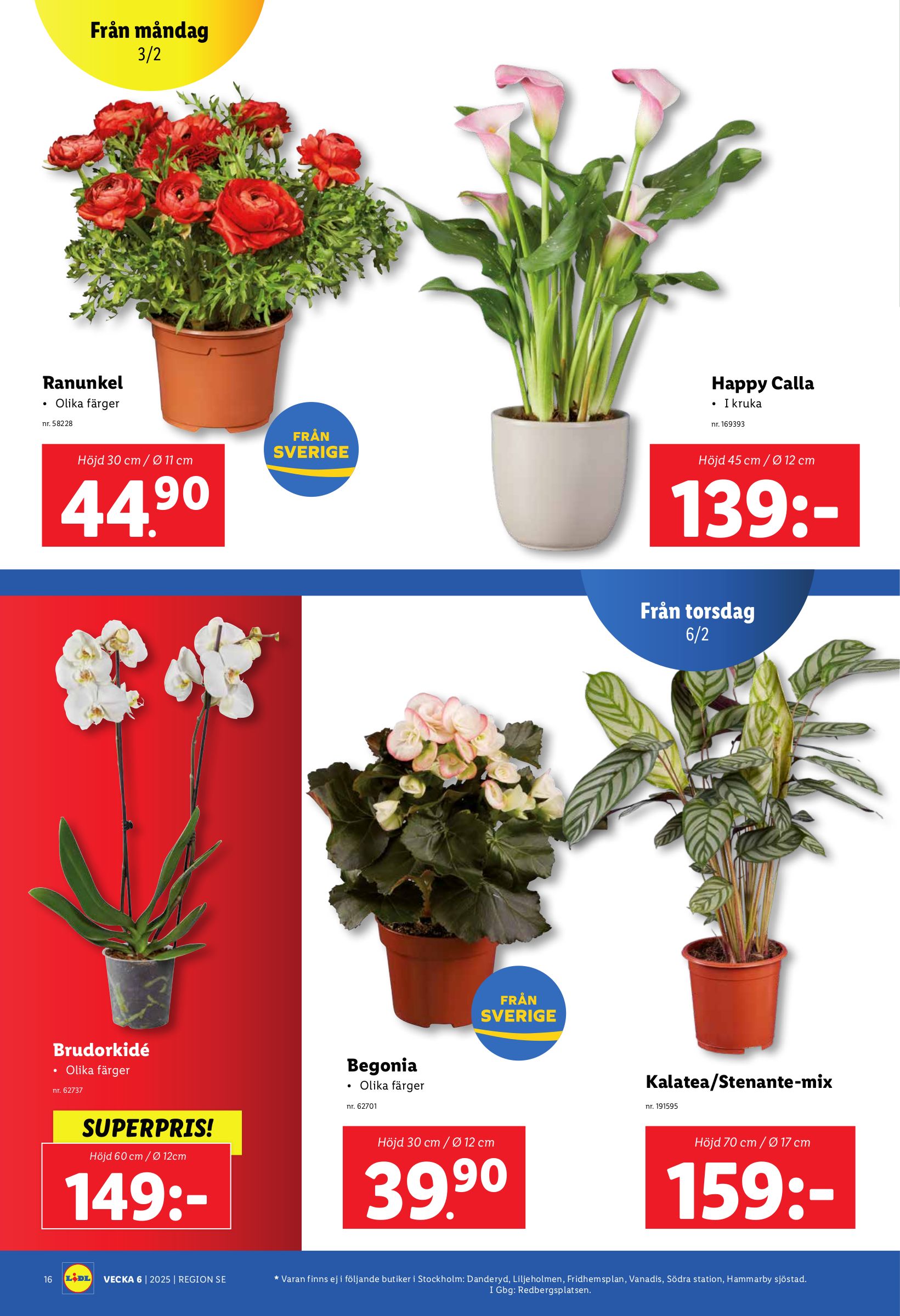 lidl - Lidl-reklambladet giltigt från 03/02 - 09/02 - page: 21