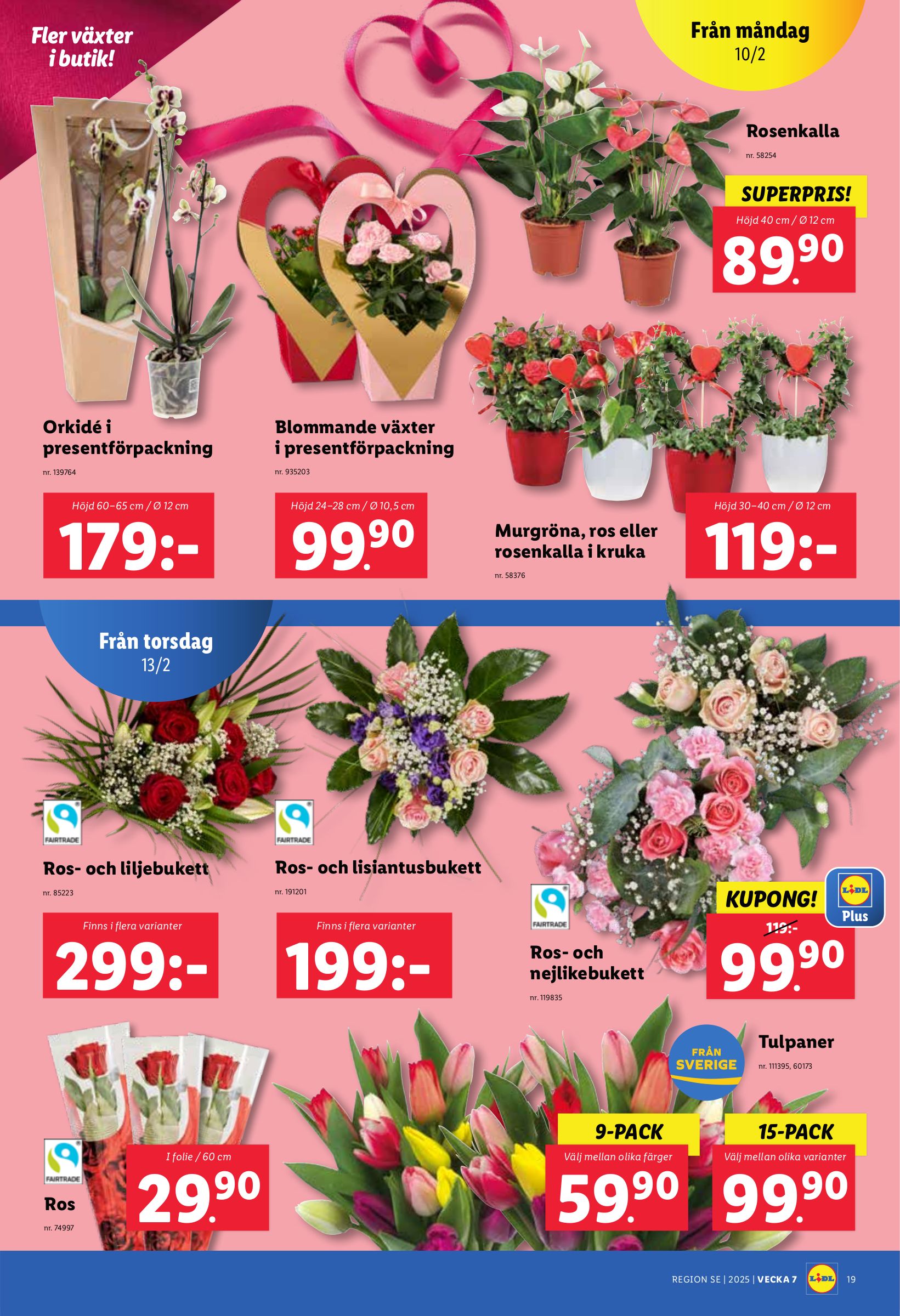 lidl - Lidl-reklambladet giltigt från 10/02 - 16/02 - page: 22