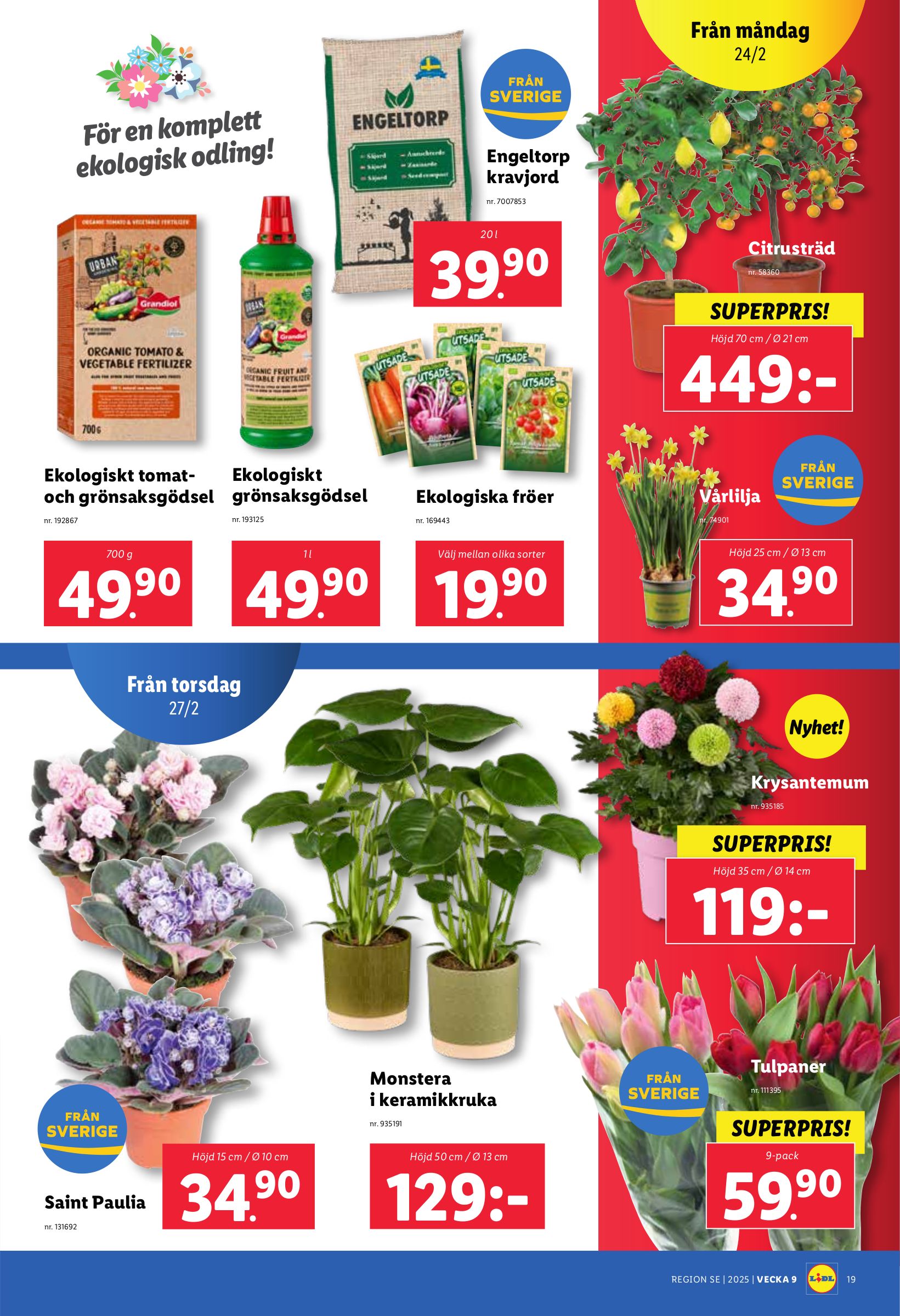 lidl - Lidl-reklambladet giltigt från 24/02 - 02/03 - page: 24