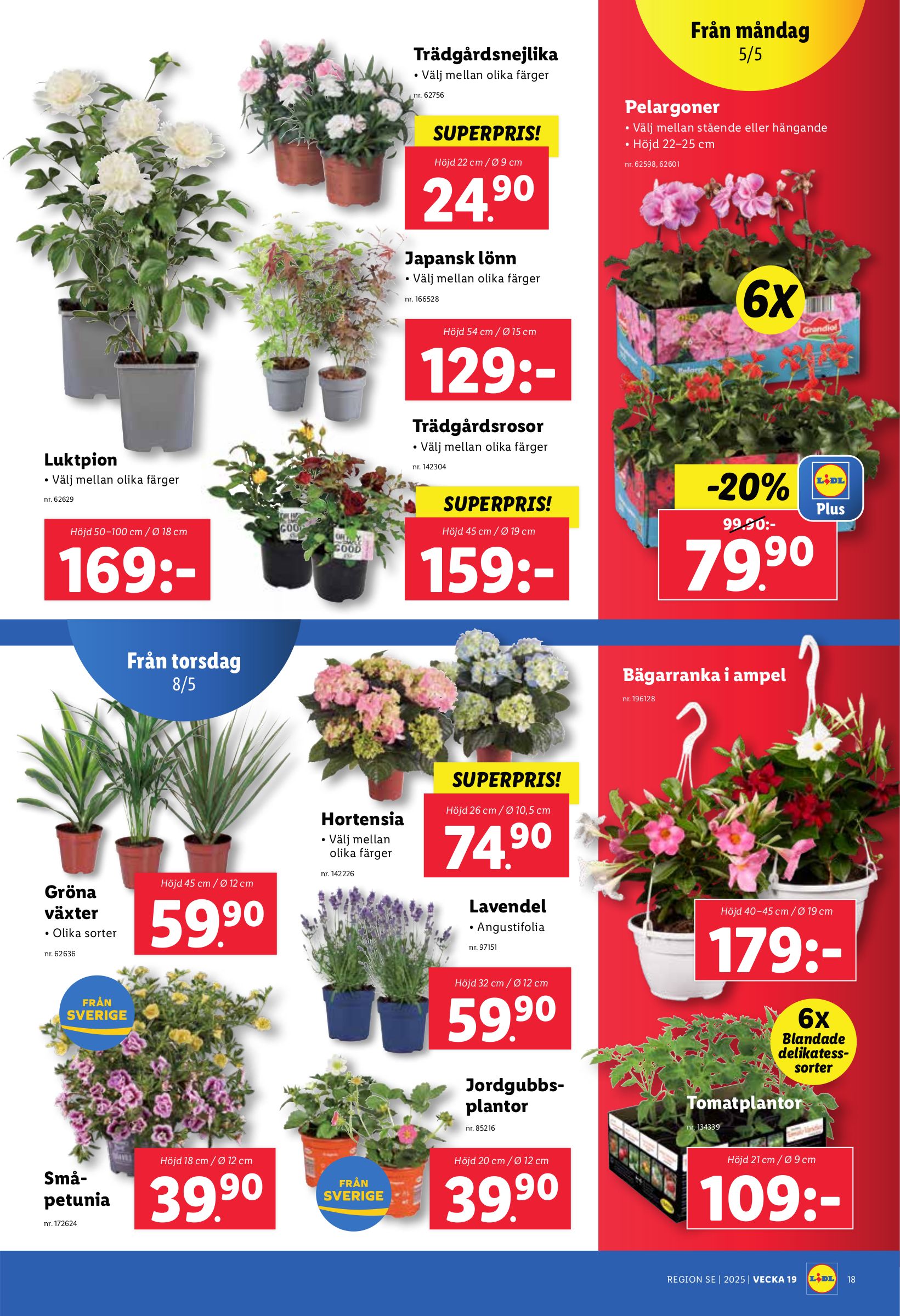 lidl - Lidl-reklambladet giltigt från 05/05 - 11/05 - page: 20