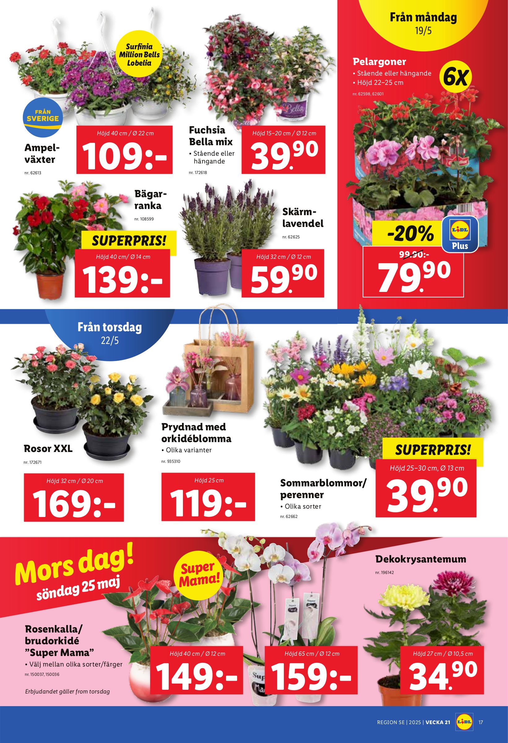 lidl - Lidl-reklambladet giltigt från 19/05 - 25/05 - page: 21