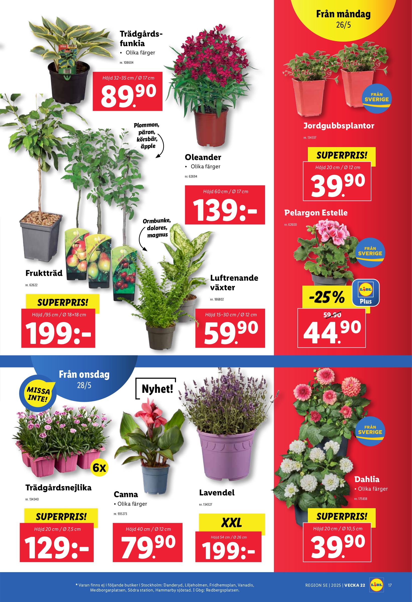 lidl - Lidl-reklambladet giltigt från 26/05 - 01/06 - page: 21