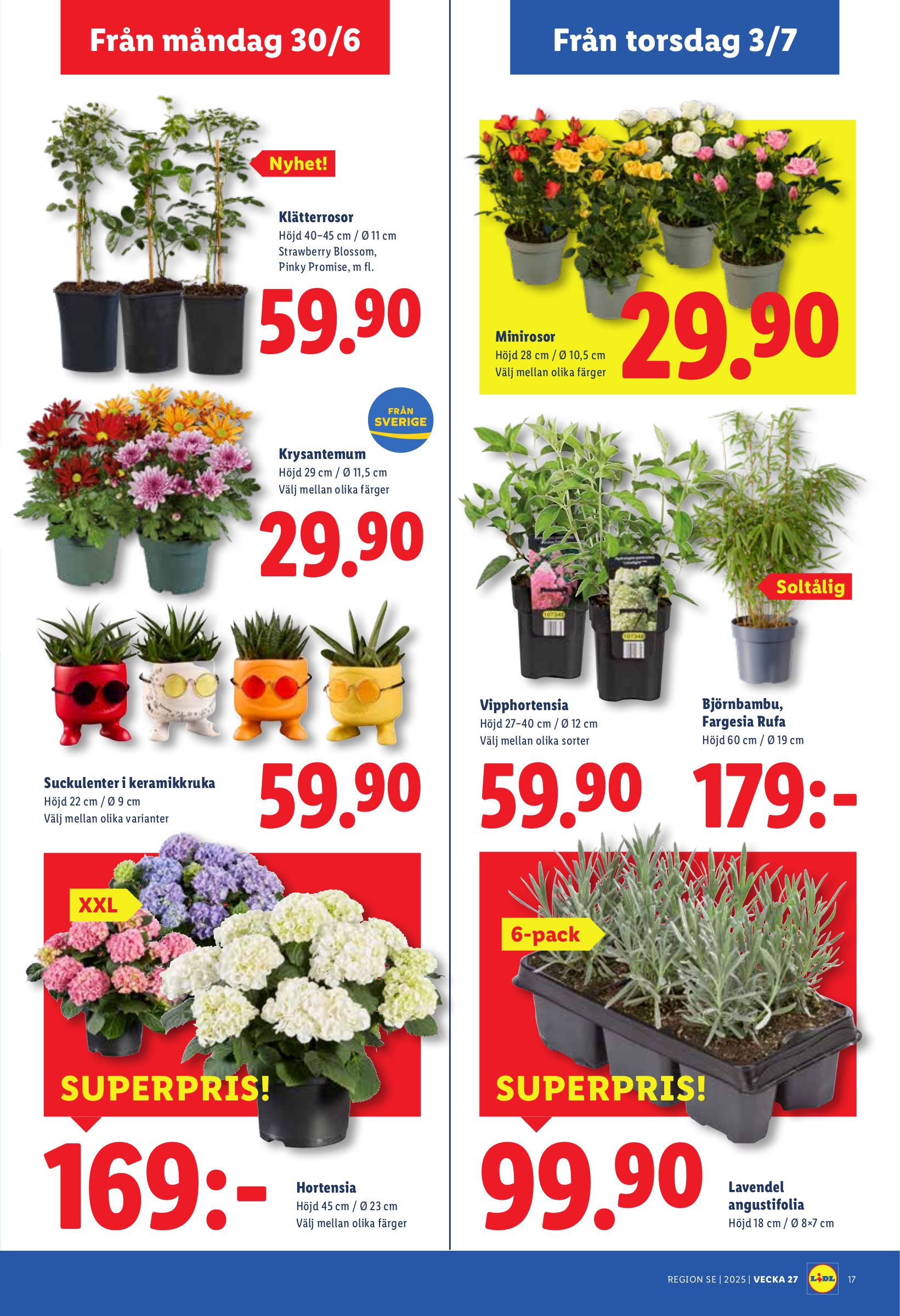 lidl - Lidl-reklambladet giltigt från 30/06 - 06/07 - page: 21
