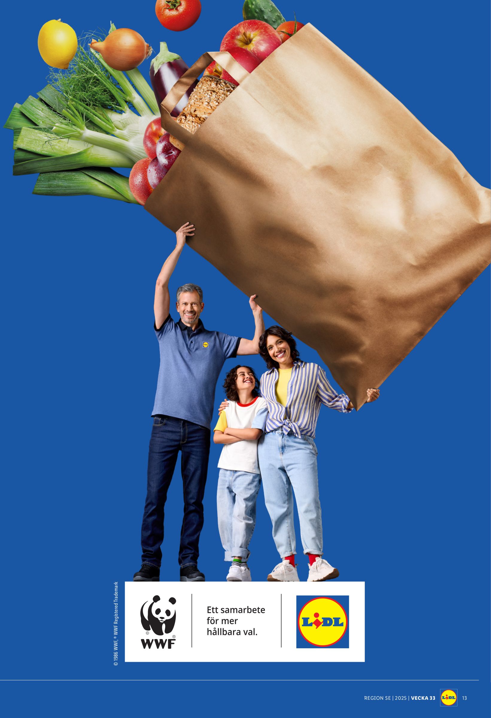 lidl - Lidl-reklambladet giltigt från 11/08 - 17/08 - page: 16