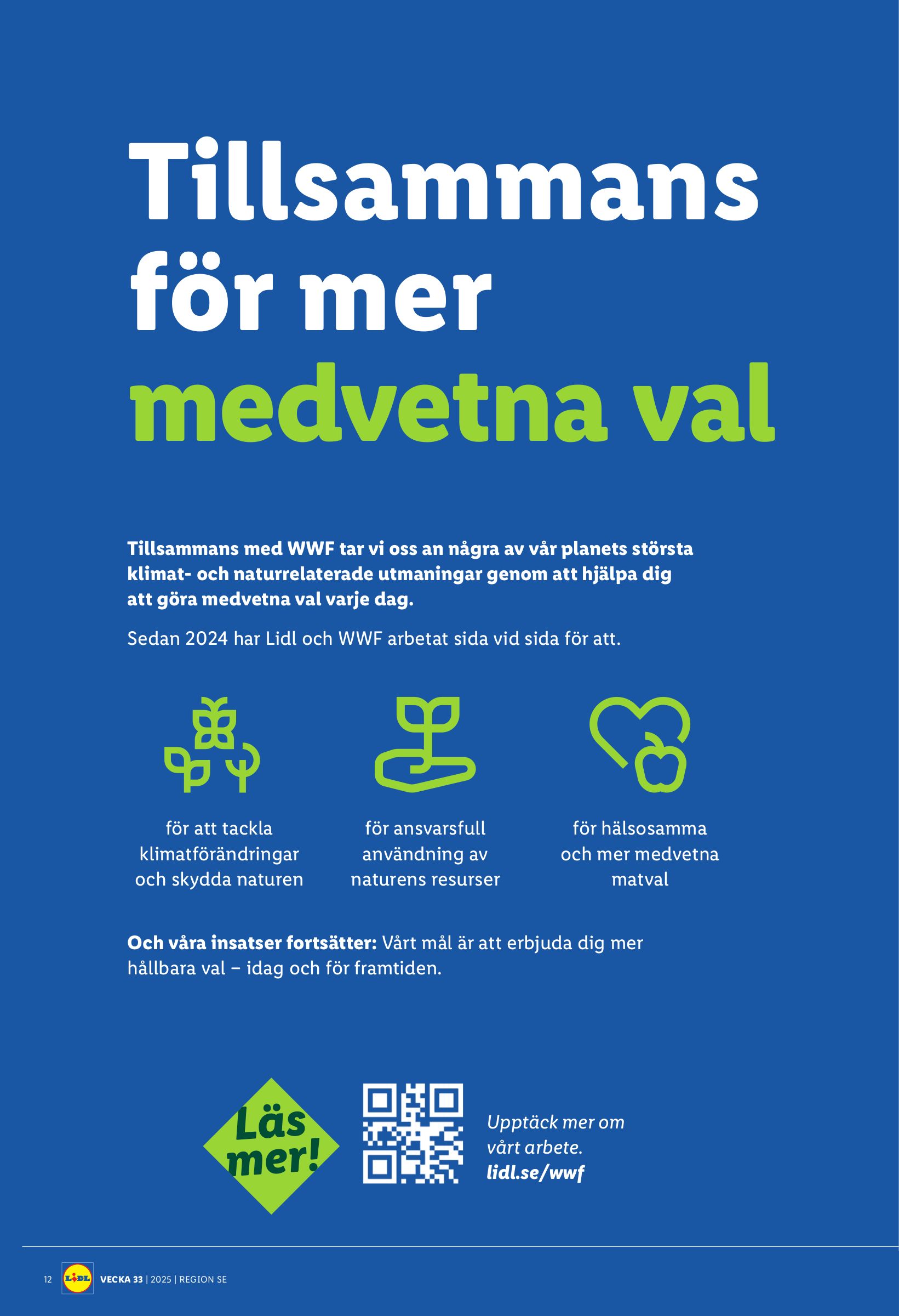 lidl - Lidl-reklambladet giltigt från 11/08 - 17/08 - page: 15