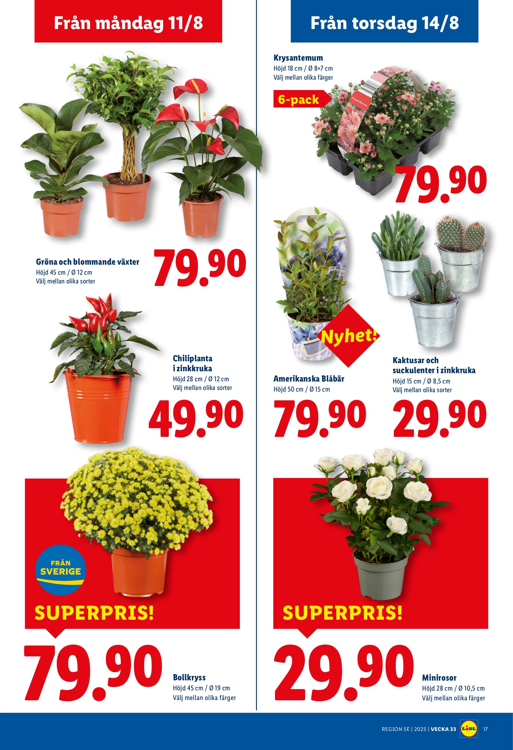 lidl - Lidl-reklambladet giltigt från 11/08 - 17/08 - page: 21