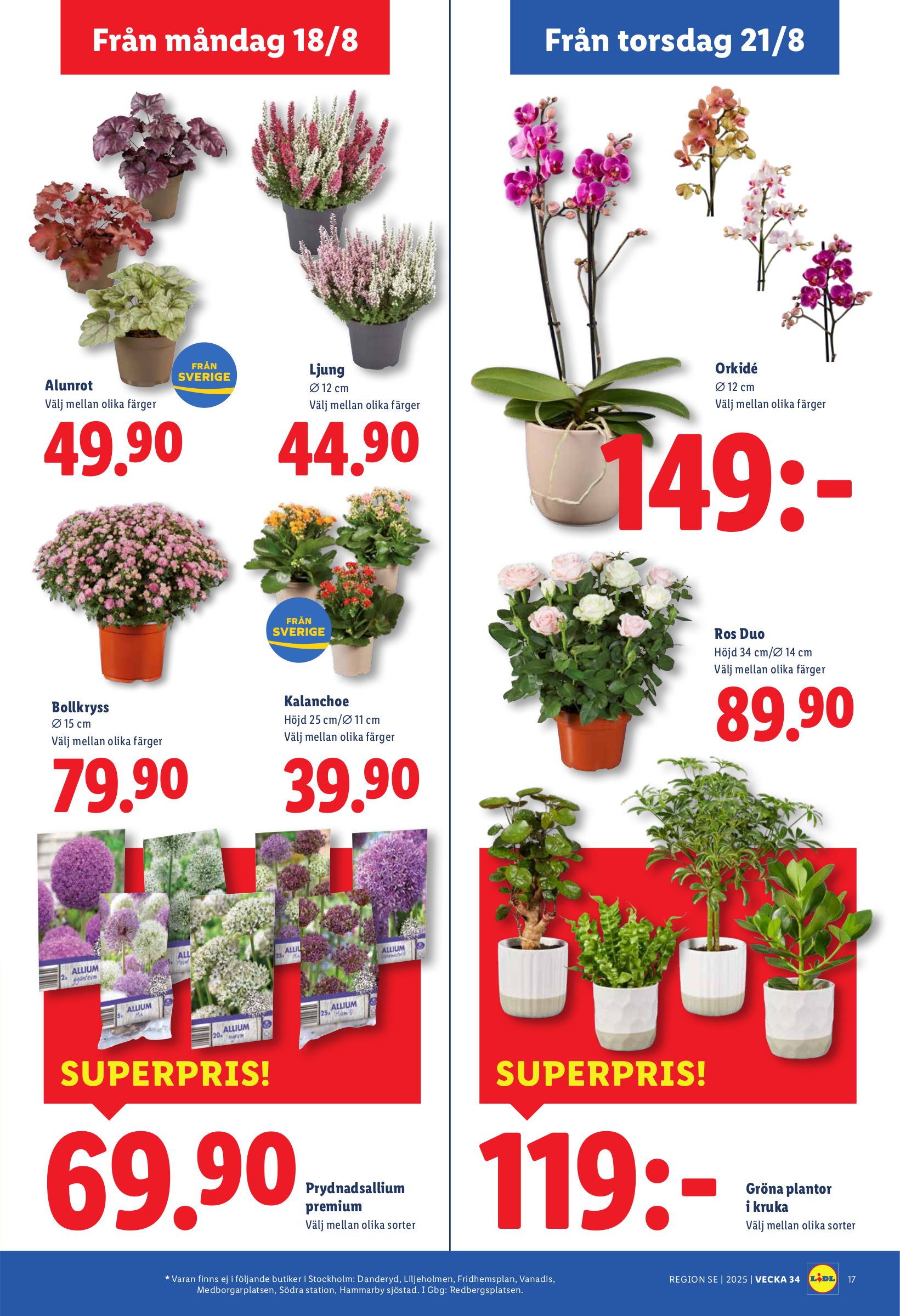 lidl - Lidl-reklambladet giltigt från 18/08 - 24/08 - page: 21