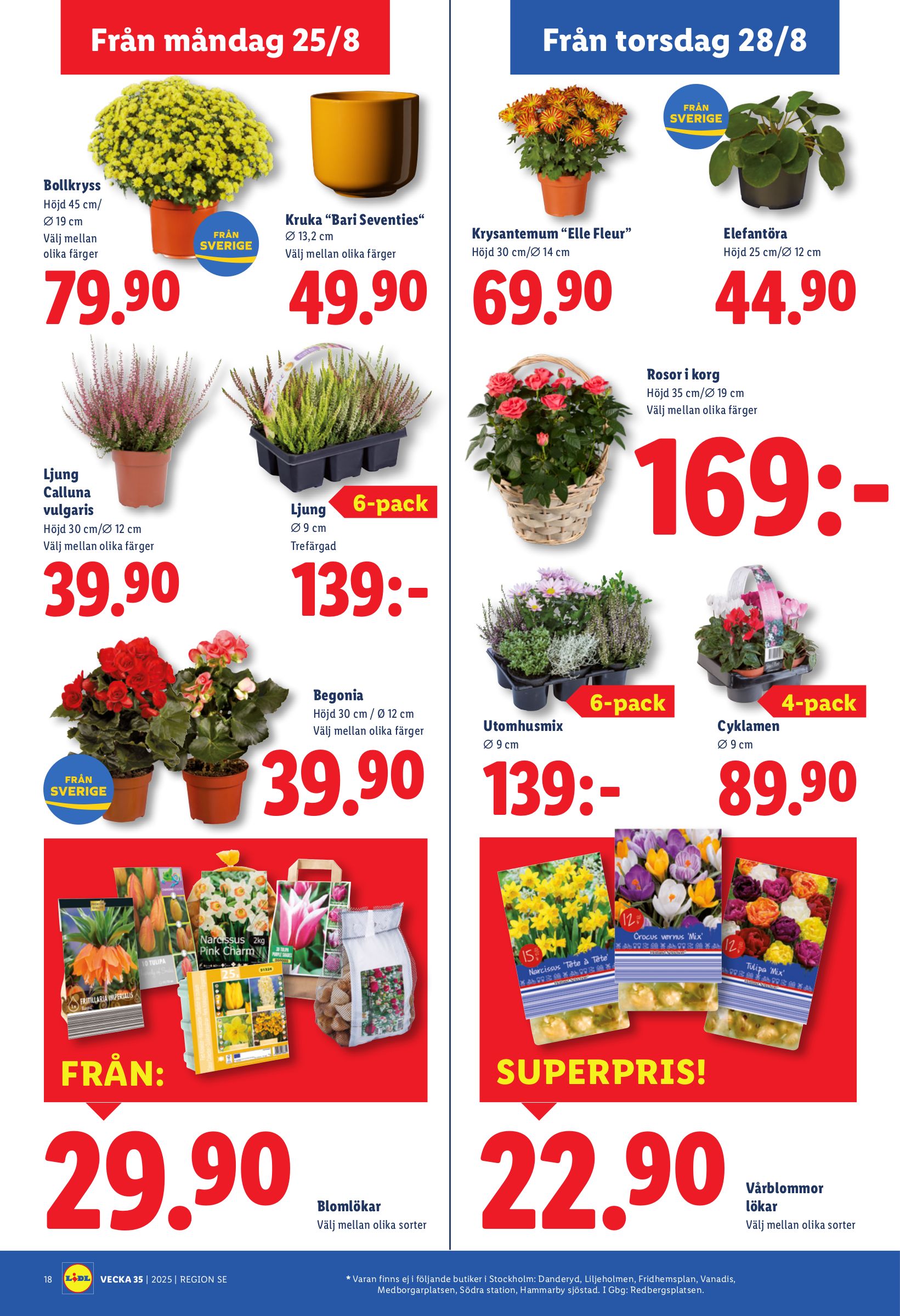 lidl - Lidl-reklambladet giltigt från 25/08 - 31/08 - page: 20