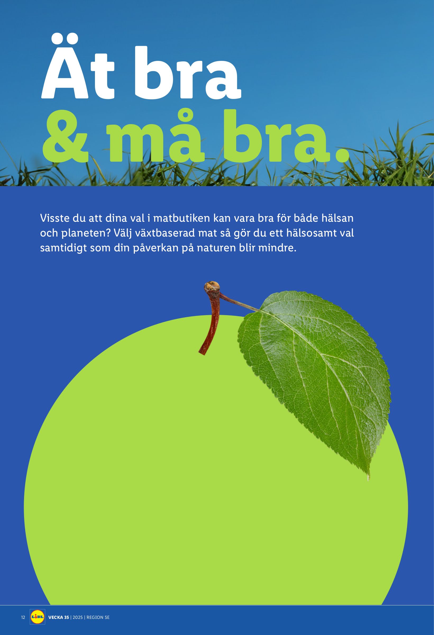 lidl - Lidl-reklambladet giltigt från 25/08 - 31/08 - page: 14