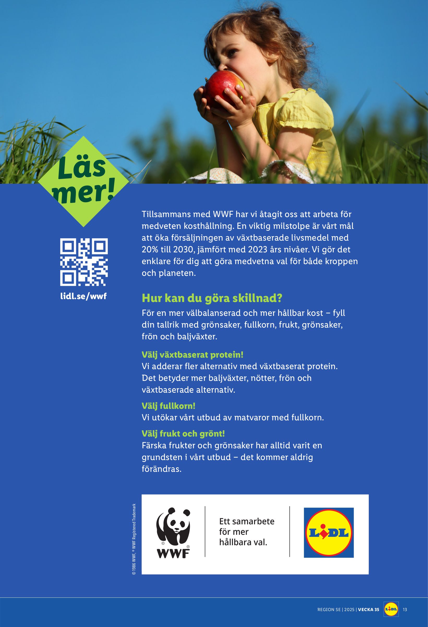 lidl - Lidl-reklambladet giltigt från 25/08 - 31/08 - page: 15