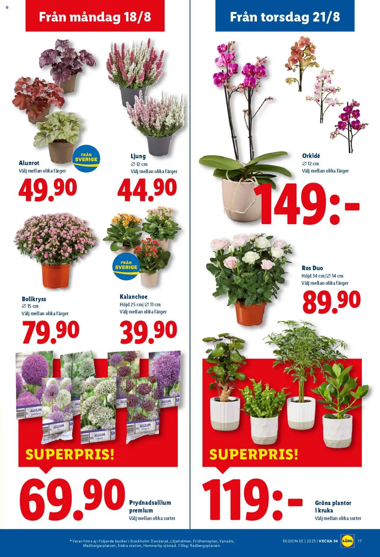 lidl - Lidl - erbjudanden från 18/08/2025 - page: 21