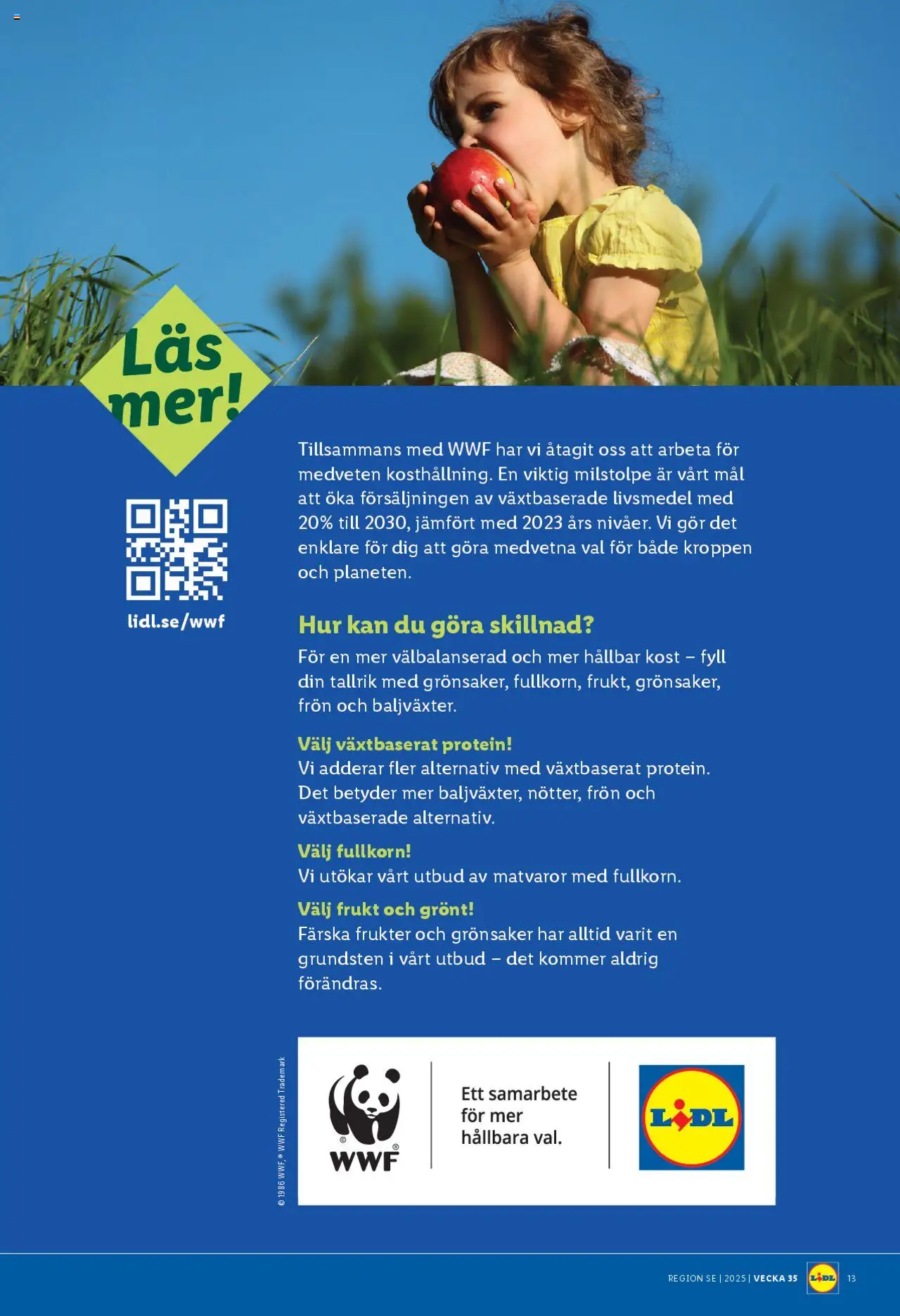 lidl - Lidl - erbjudanden från 25/08/2025 - page: 15