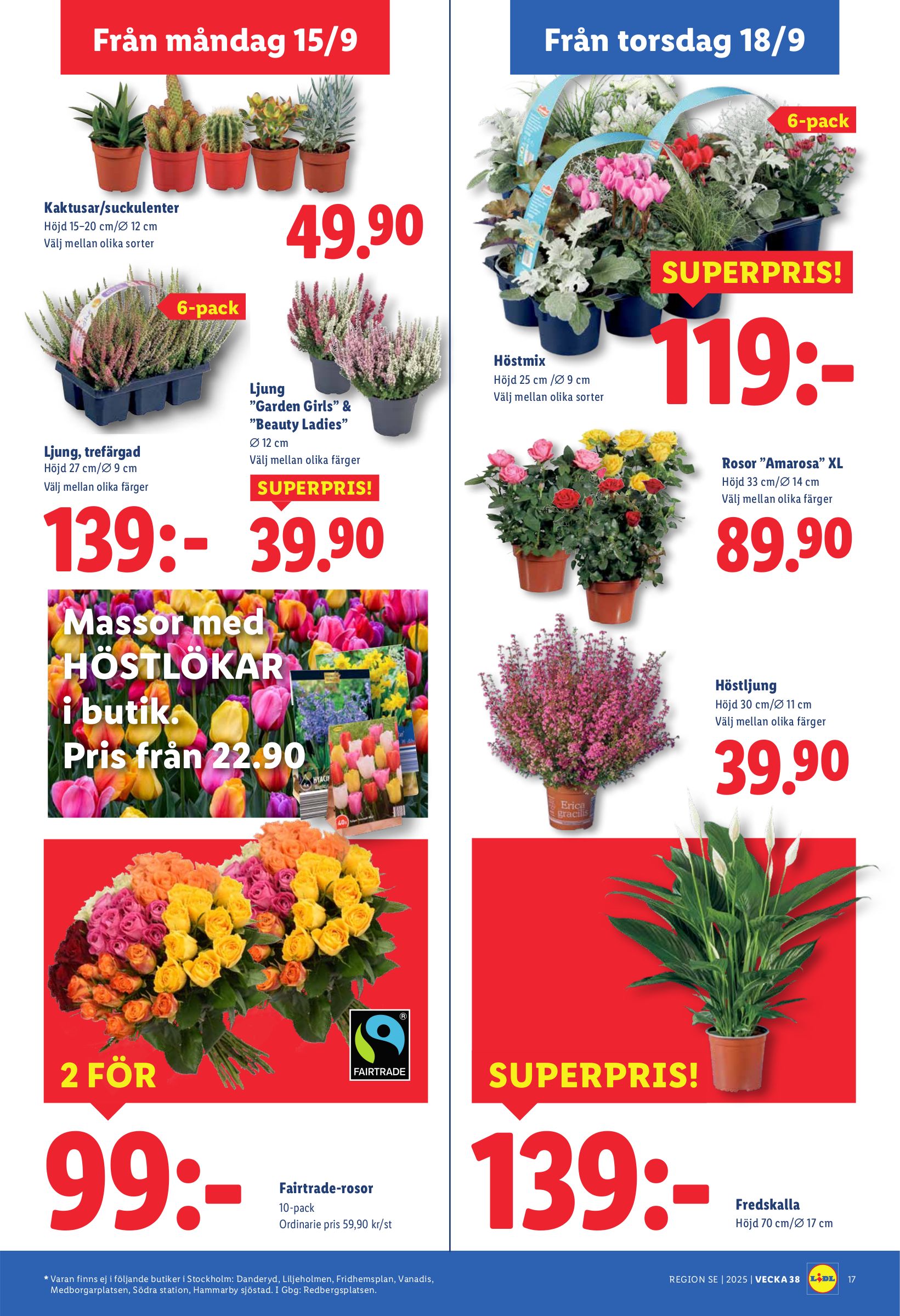 lidl - Lidl-reklambladet giltigt från 15/09 - 21/09 - page: 19