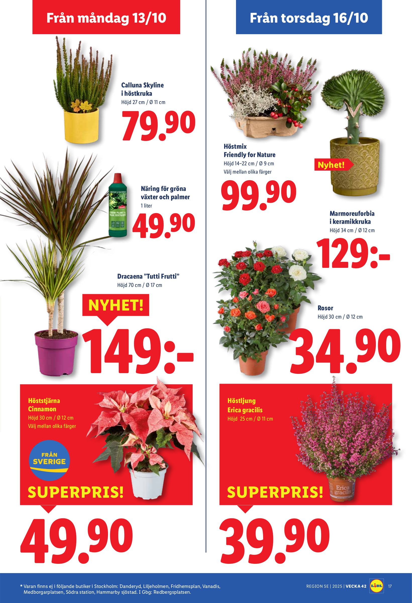 lidl - Lidl-reklambladet giltigt från 13/10 - 19/10 - page: 19