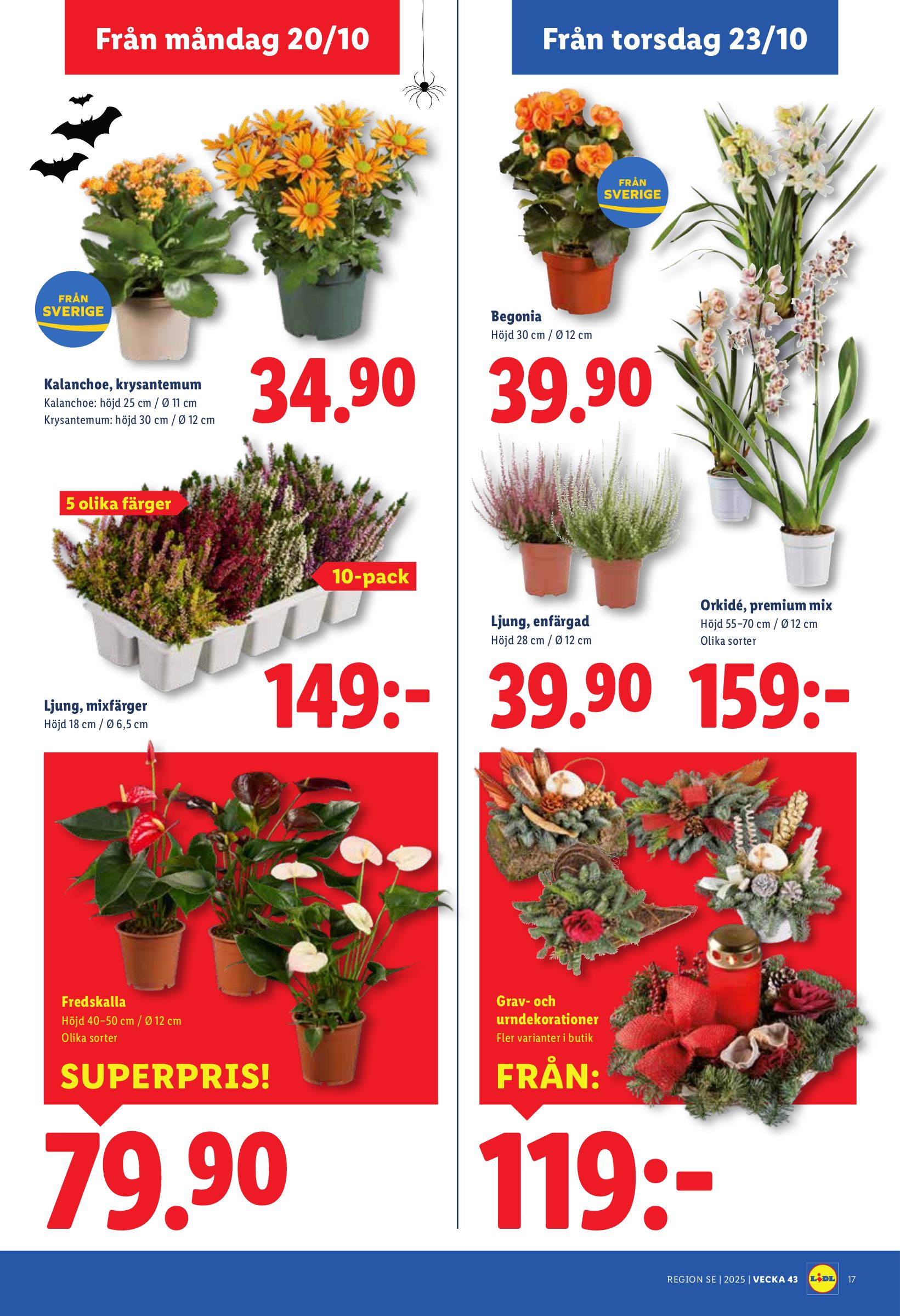 lidl - Lidl-reklambladet giltigt från 20/10 - 26/10 - page: 19