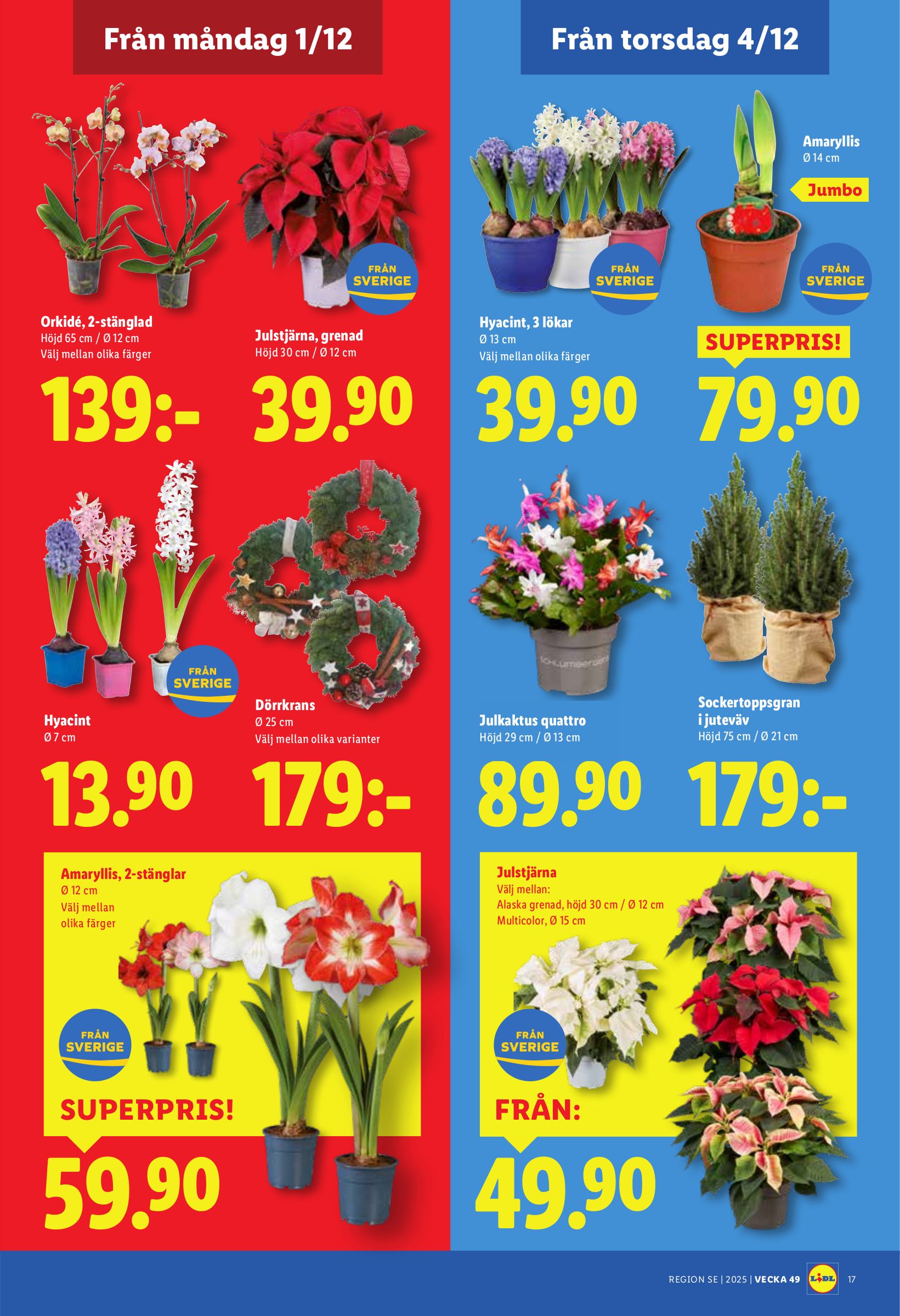lidl - Lidl-reklambladet giltigt från 01/12 - 07/12 - page: 22