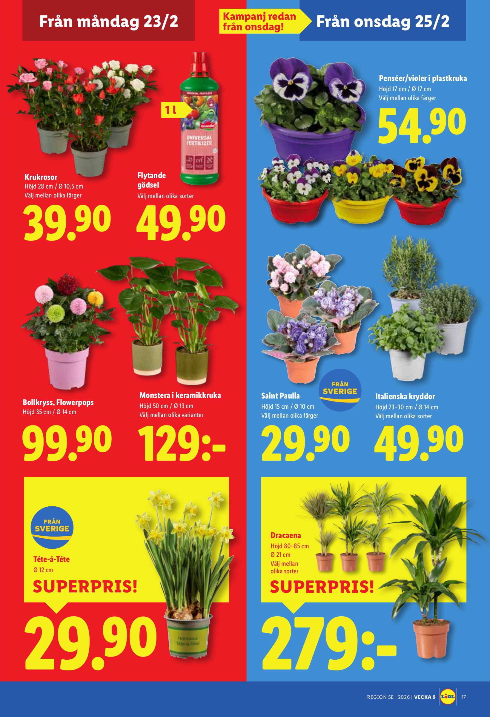 lidl - Lidl-reklambladet giltigt från 23/02/2026 - 01/03/2026 - page: 21