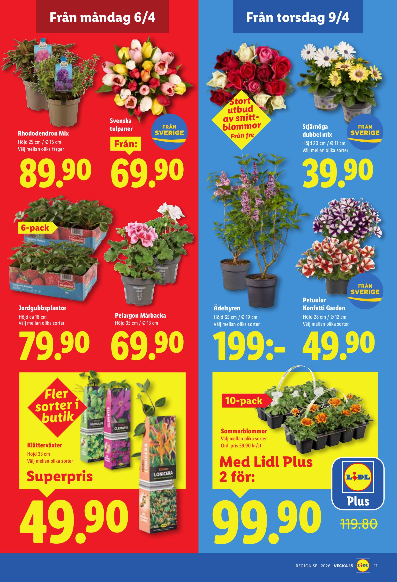 lidl - Aktuellt Lidl reklamblad giltigt från måndag 06/04/2026 till söndag 12/04/2026 - page: 21