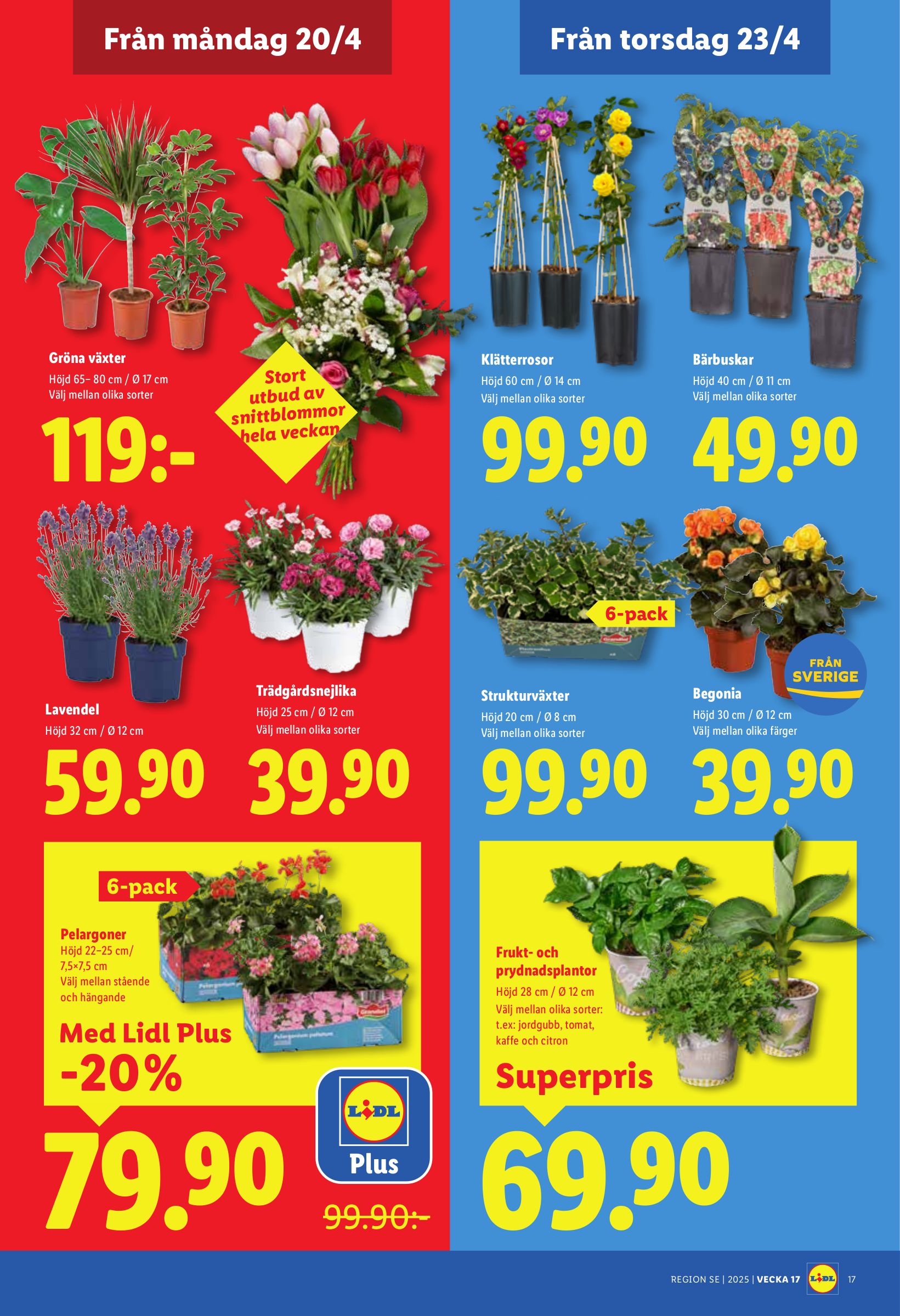 lidl - Lidl reklamblad för nästa vecka från måndag 20/04/2026 till söndag 26/04/2026 - page: 19
