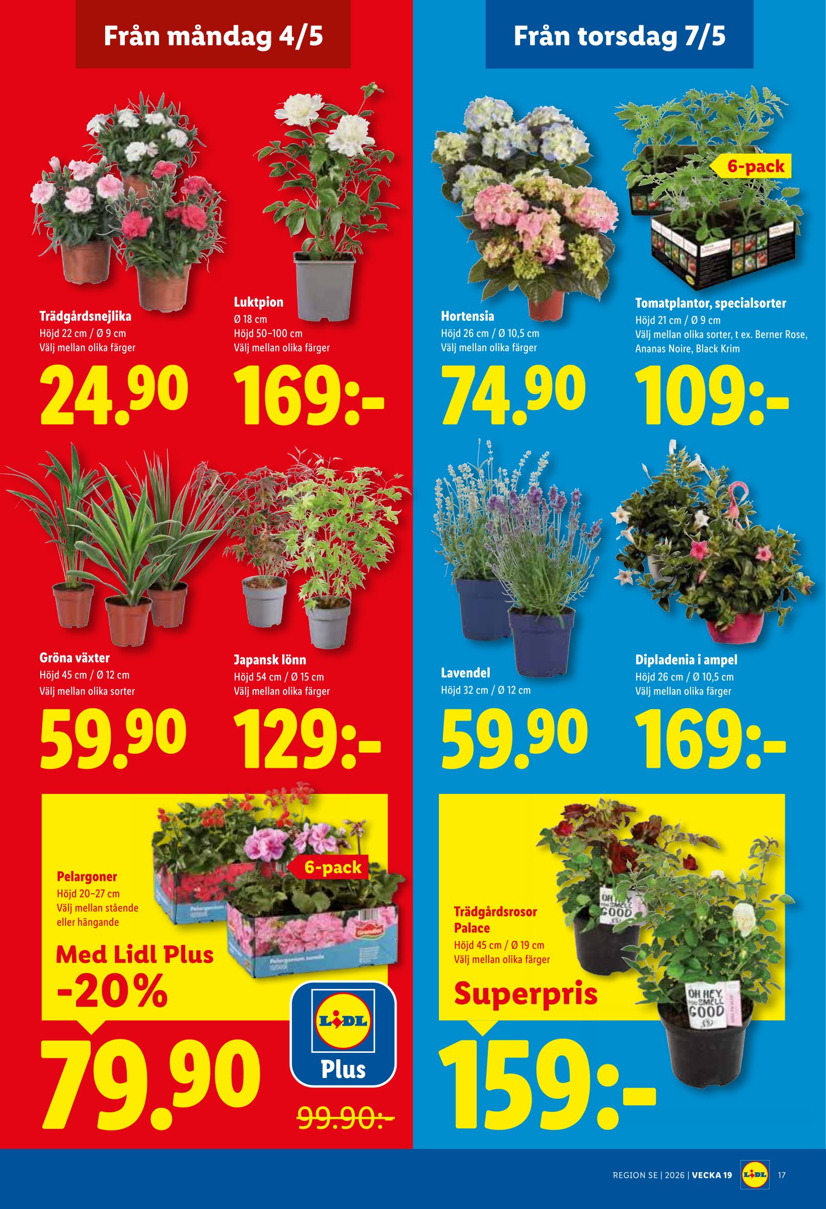 lidl - Lidl reklamblad för nästa vecka från måndag 04/05/2026 till söndag 10/05/2026 - page: 19
