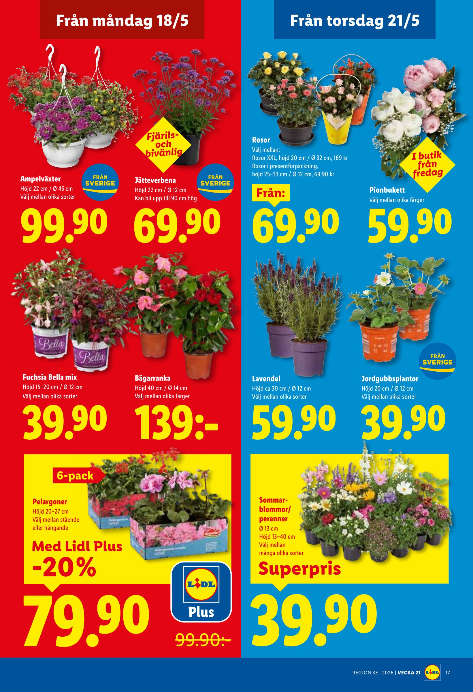lidl - Lidl reklamblad för nästa vecka från måndag 18/05/2026 till söndag 24/05/2026 - page: 20