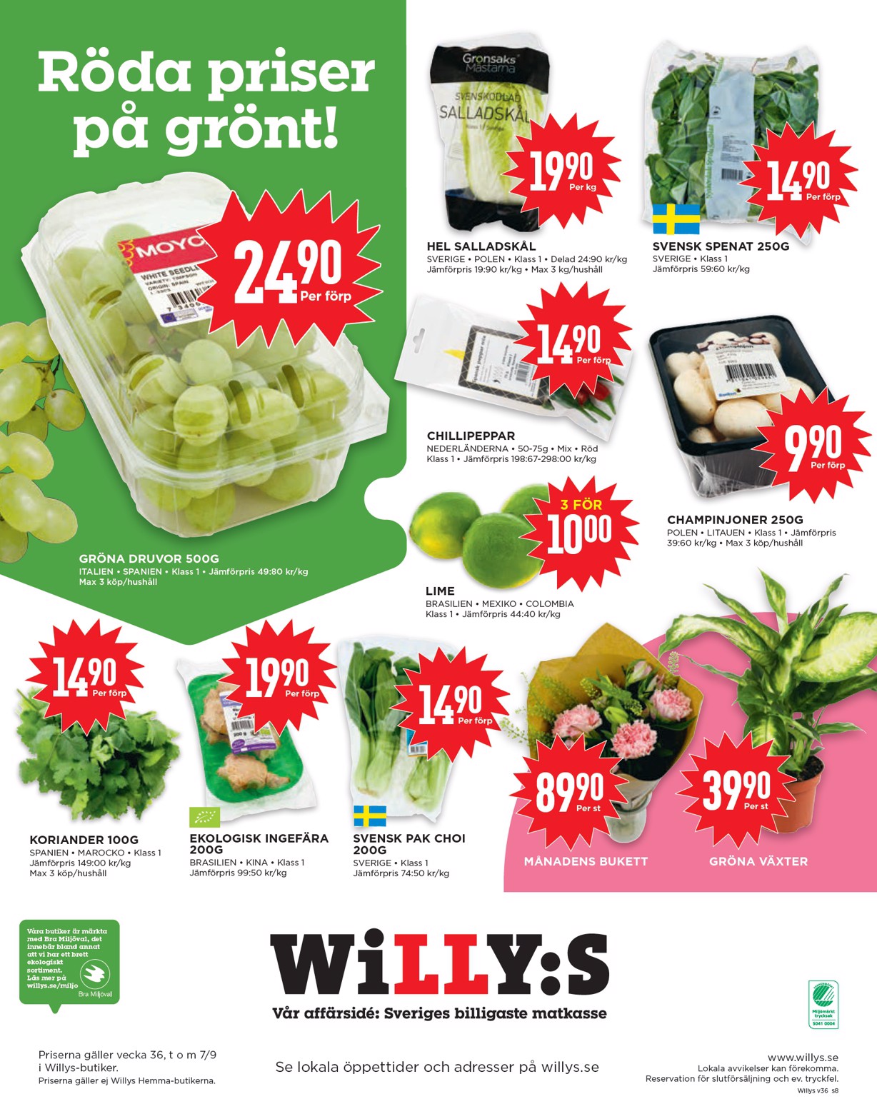 willy-s - Willy's-reklambladet giltigt från 01/09 - 07/09 - page: 8