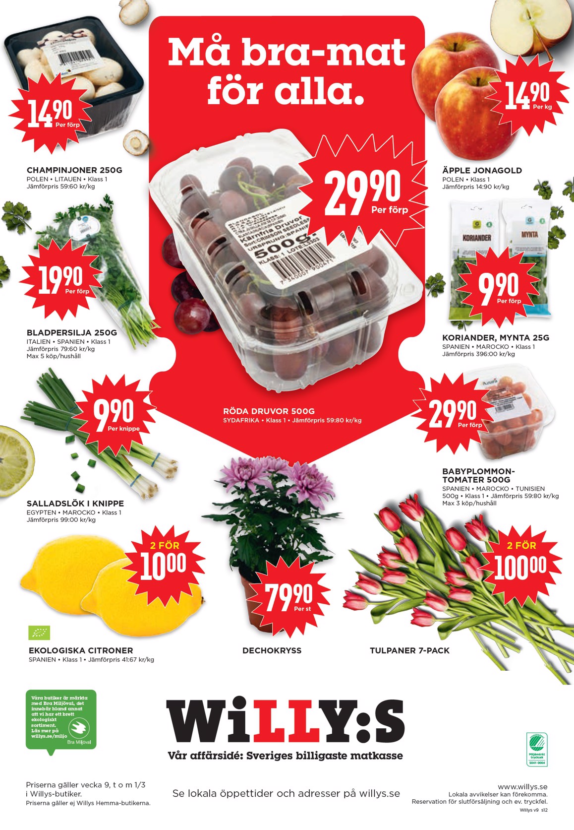 willy-s - Willy's-reklambladet giltigt från 23/02/2026 - 01/03/2026 - page: 12