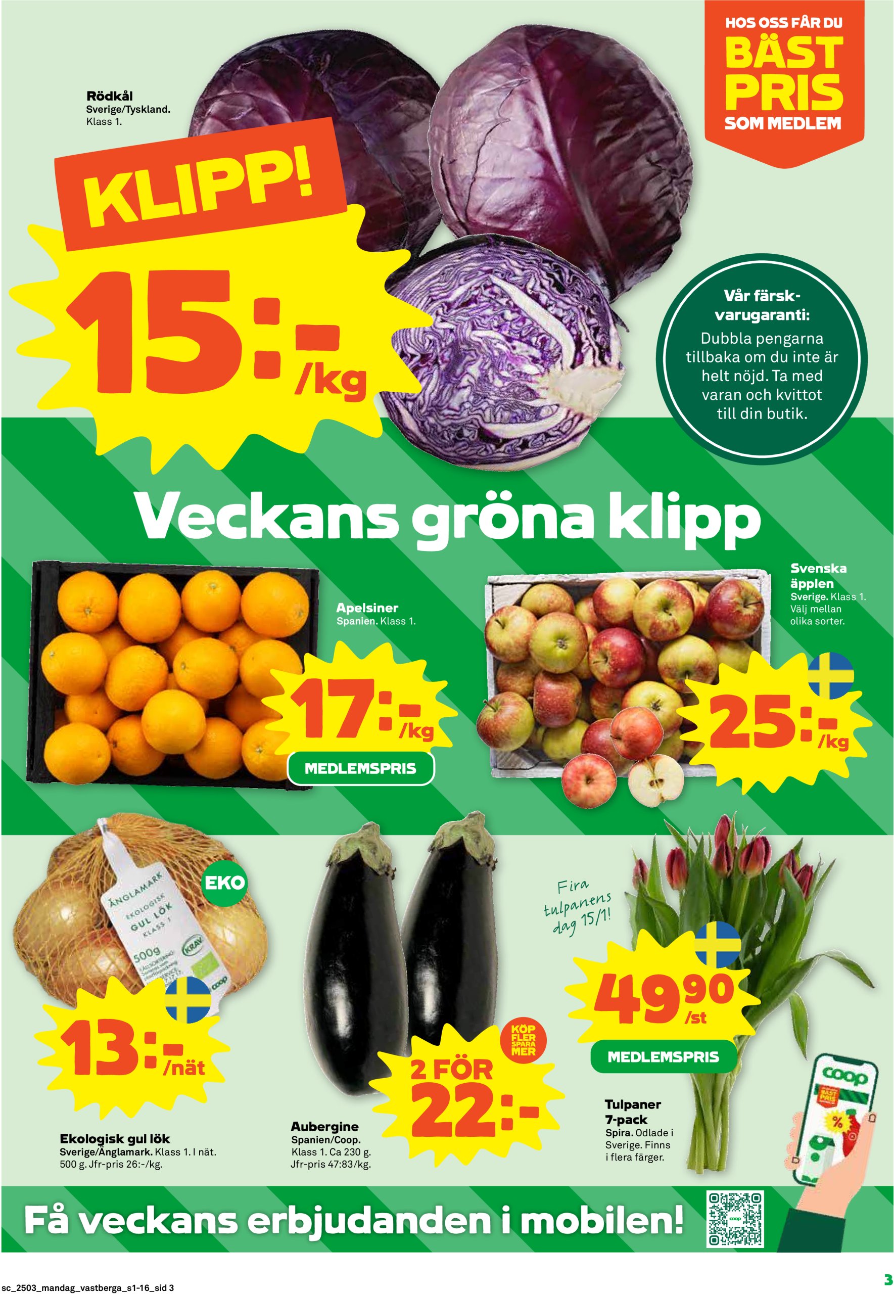 coop - Stora Coop-reklambladet giltigt från 13/01 - 19/01 - page: 3