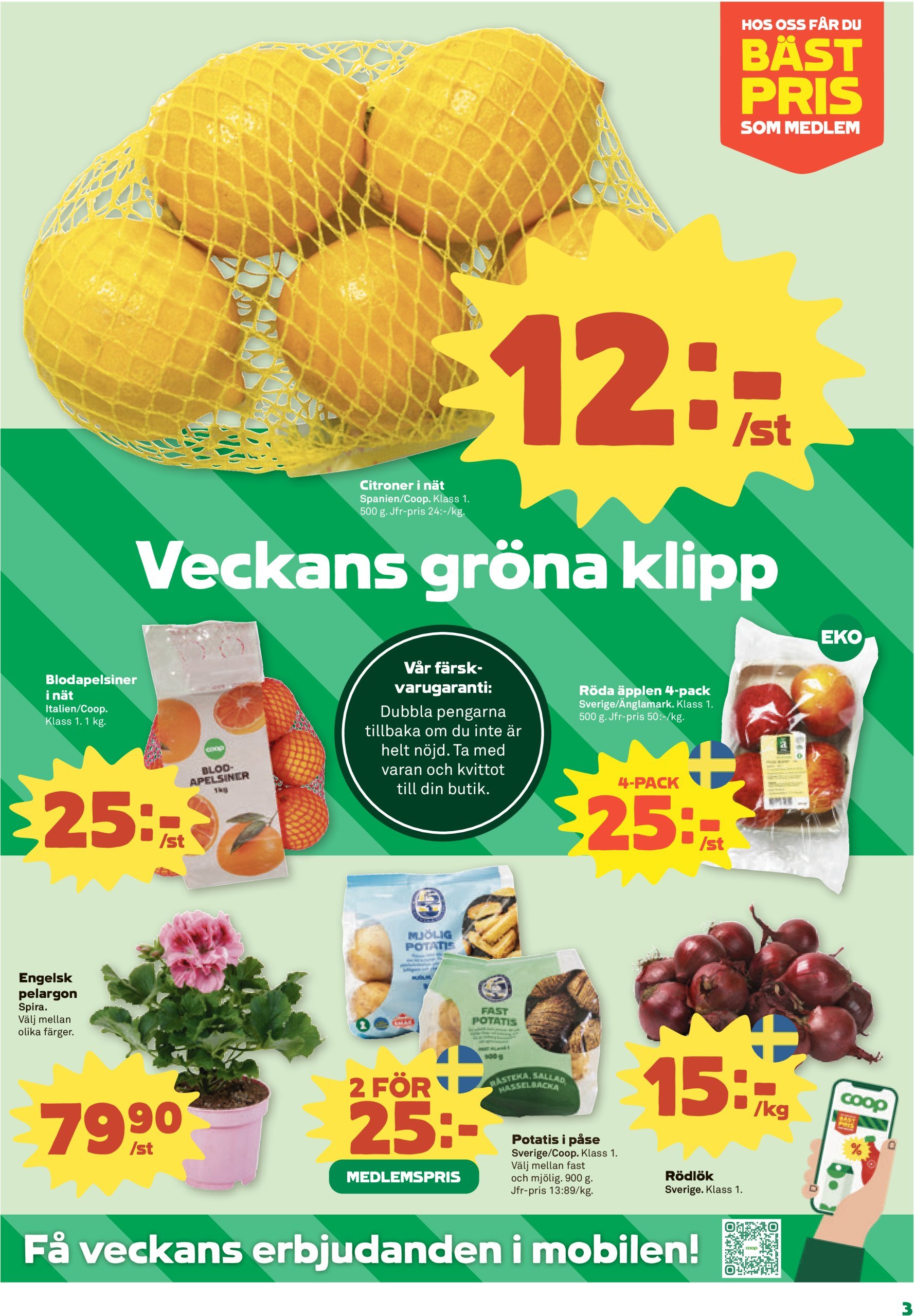 coop - Stora Coop-reklambladet giltigt från 03/02 - 09/02 - page: 3