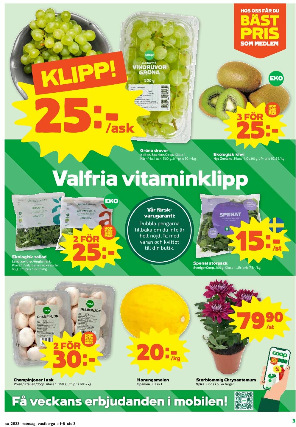 coop - Stora Coop-reklambladet giltigt från 11/08 - 17/08 - page: 3