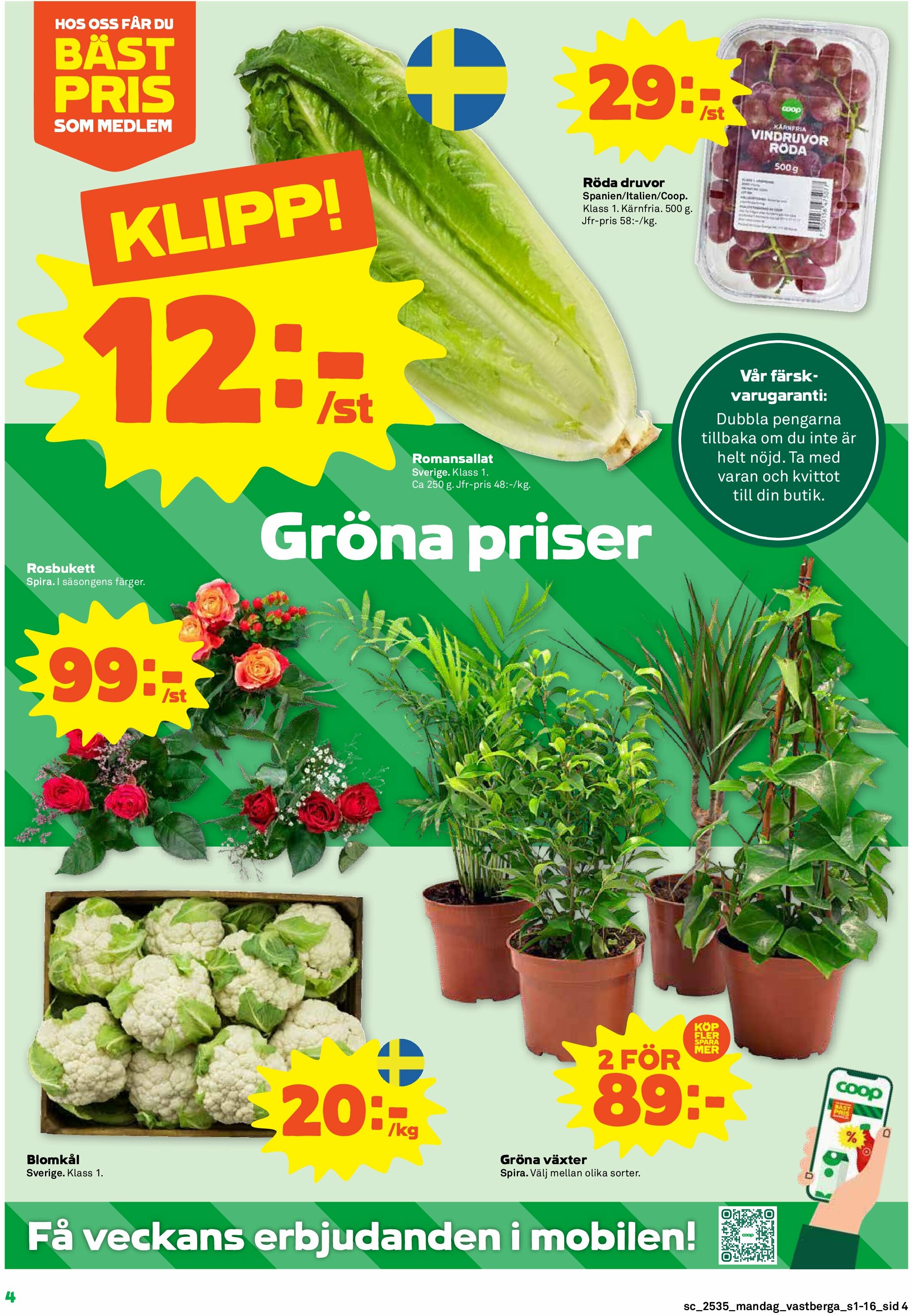 coop - Stora Coop-reklambladet giltigt från 25/08 - 31/08 - page: 4