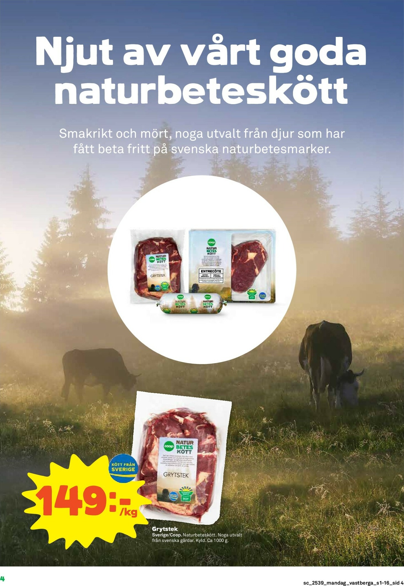 coop - Stora Coop-reklambladet giltigt från 22/09 - 28/09 - page: 4
