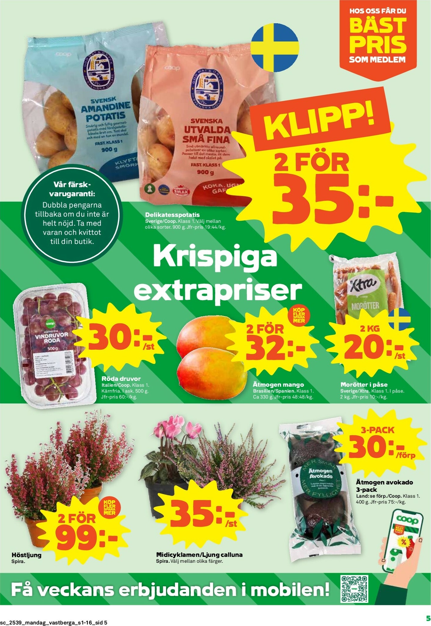 coop - Stora Coop-reklambladet giltigt från 22/09 - 28/09 - page: 5