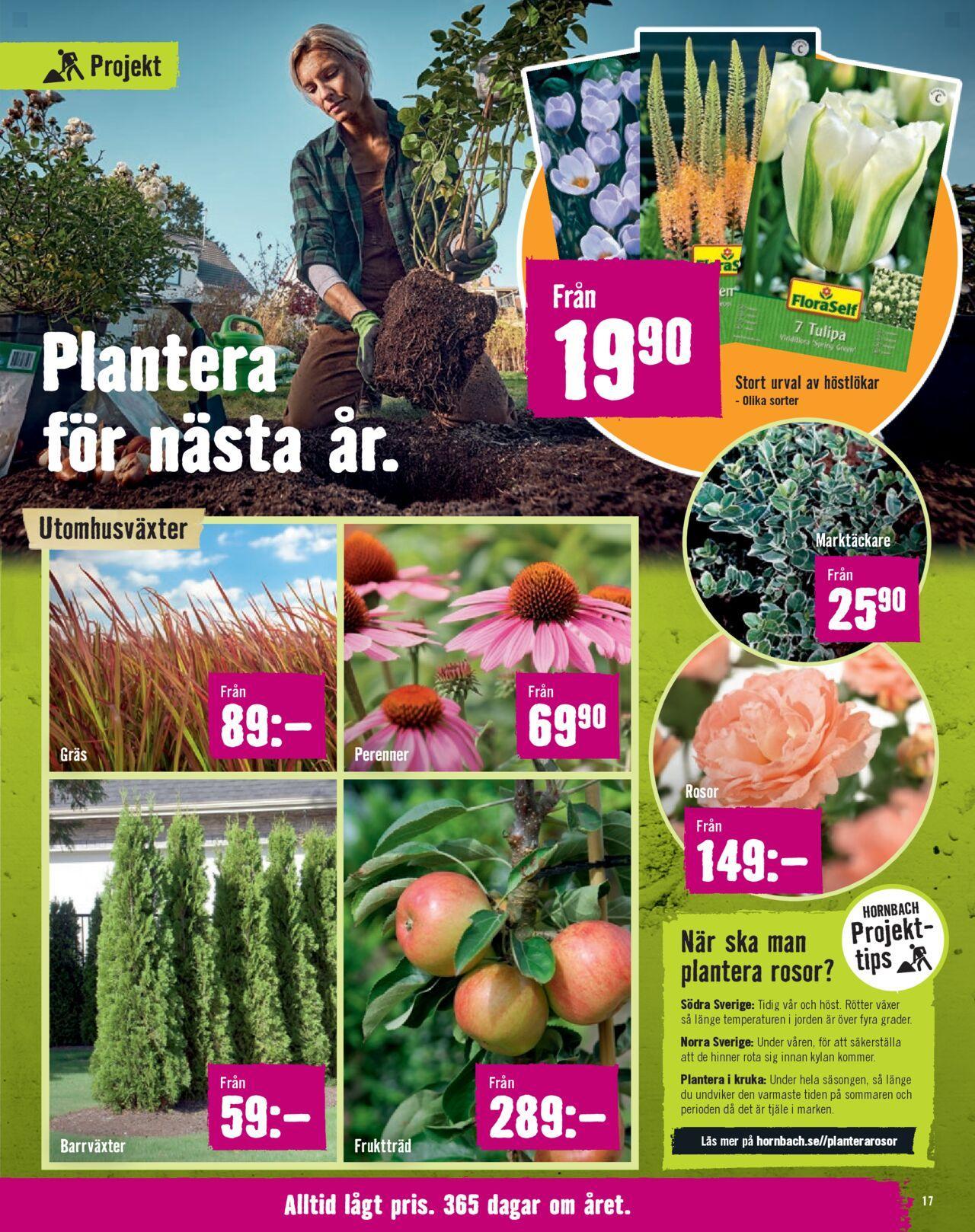 hornbach - Hornbach - erbjudanden från 01/10/2024 - 31/10/2024 - page: 17