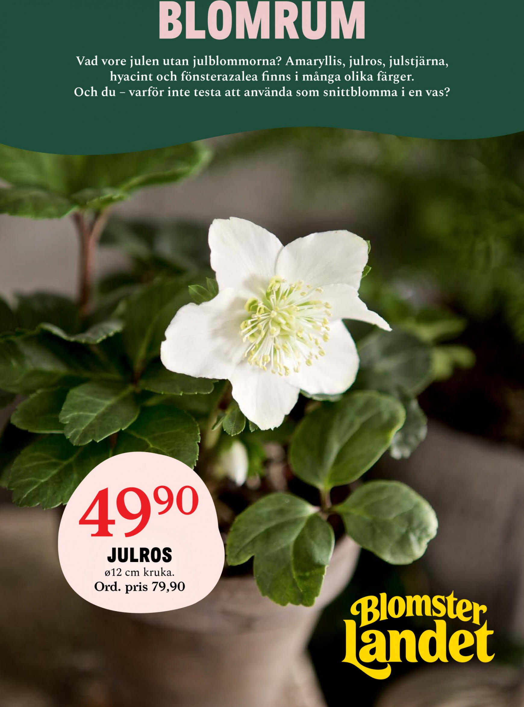 blomster-landet - Blomster Landet - Blomsterlandet