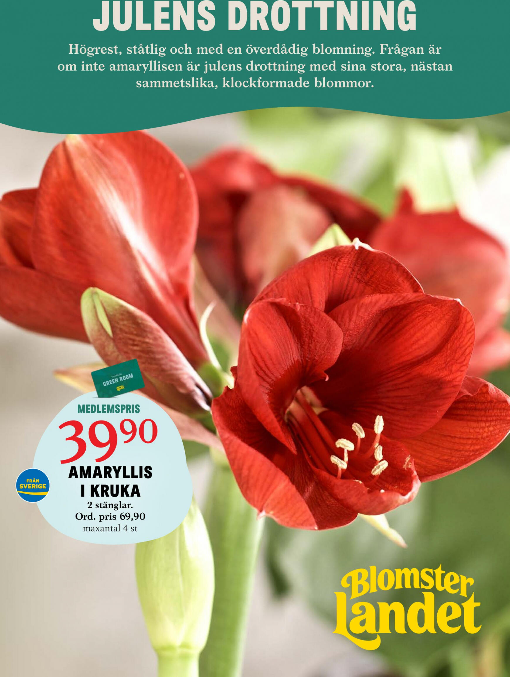 blomster-landet - Blomster Landet - Blomsterlandet - page: 1