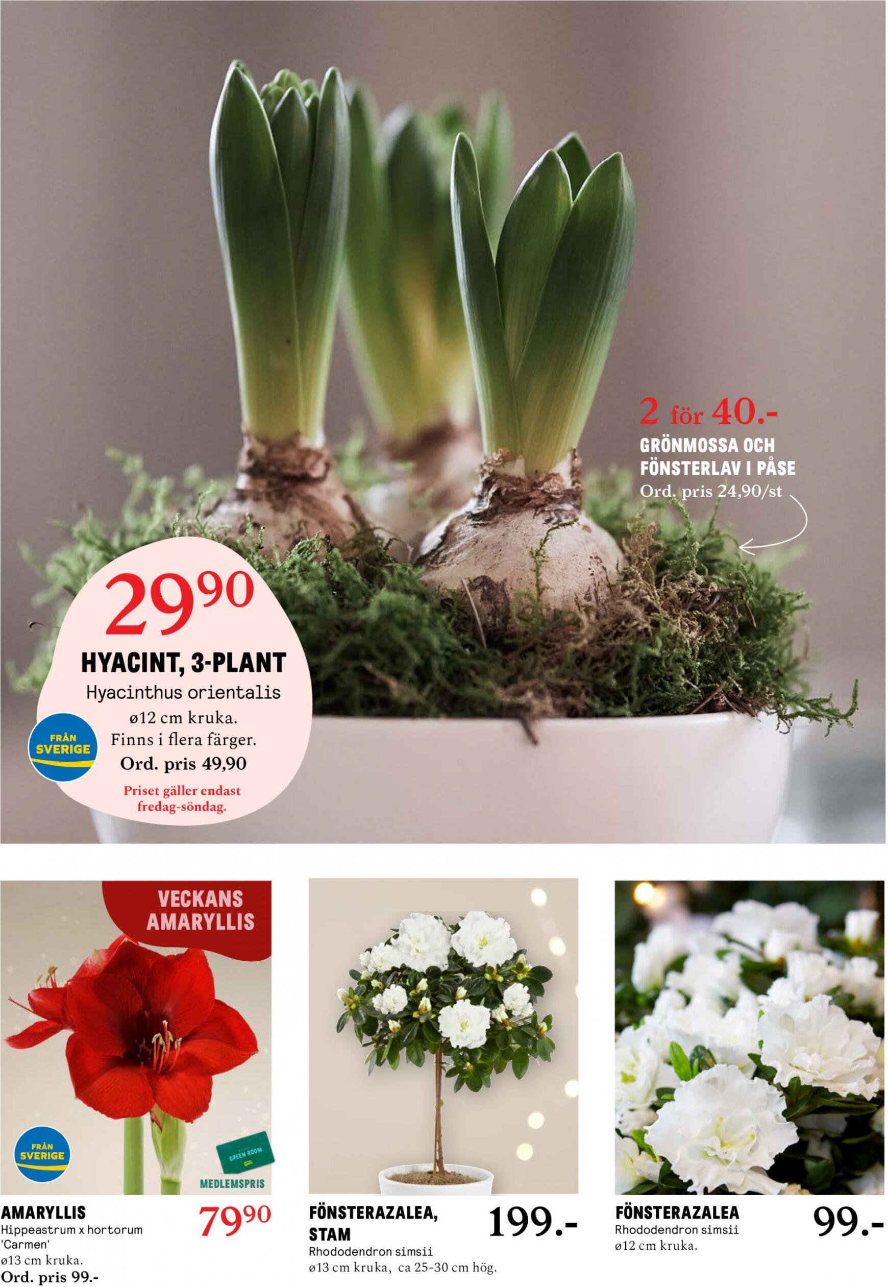 blomster-landet - Blomster Landet giltigt från och med 27.11.2023 - page: 2