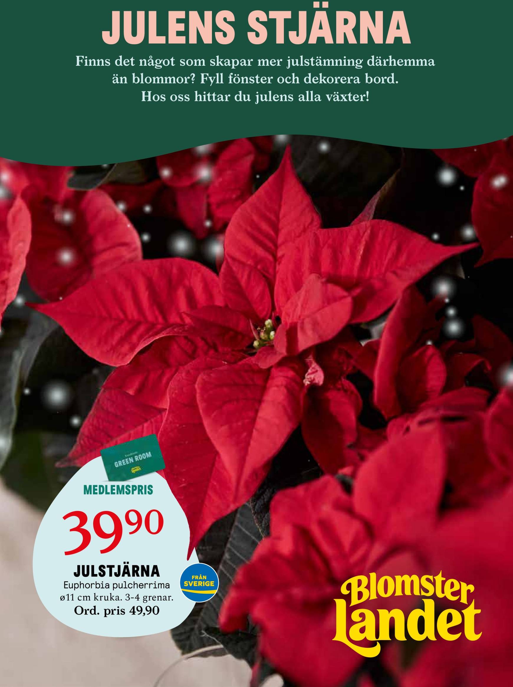 blomster-landet - Blomster Landet-reklambladet är giltigt från 25/11 - 01/12