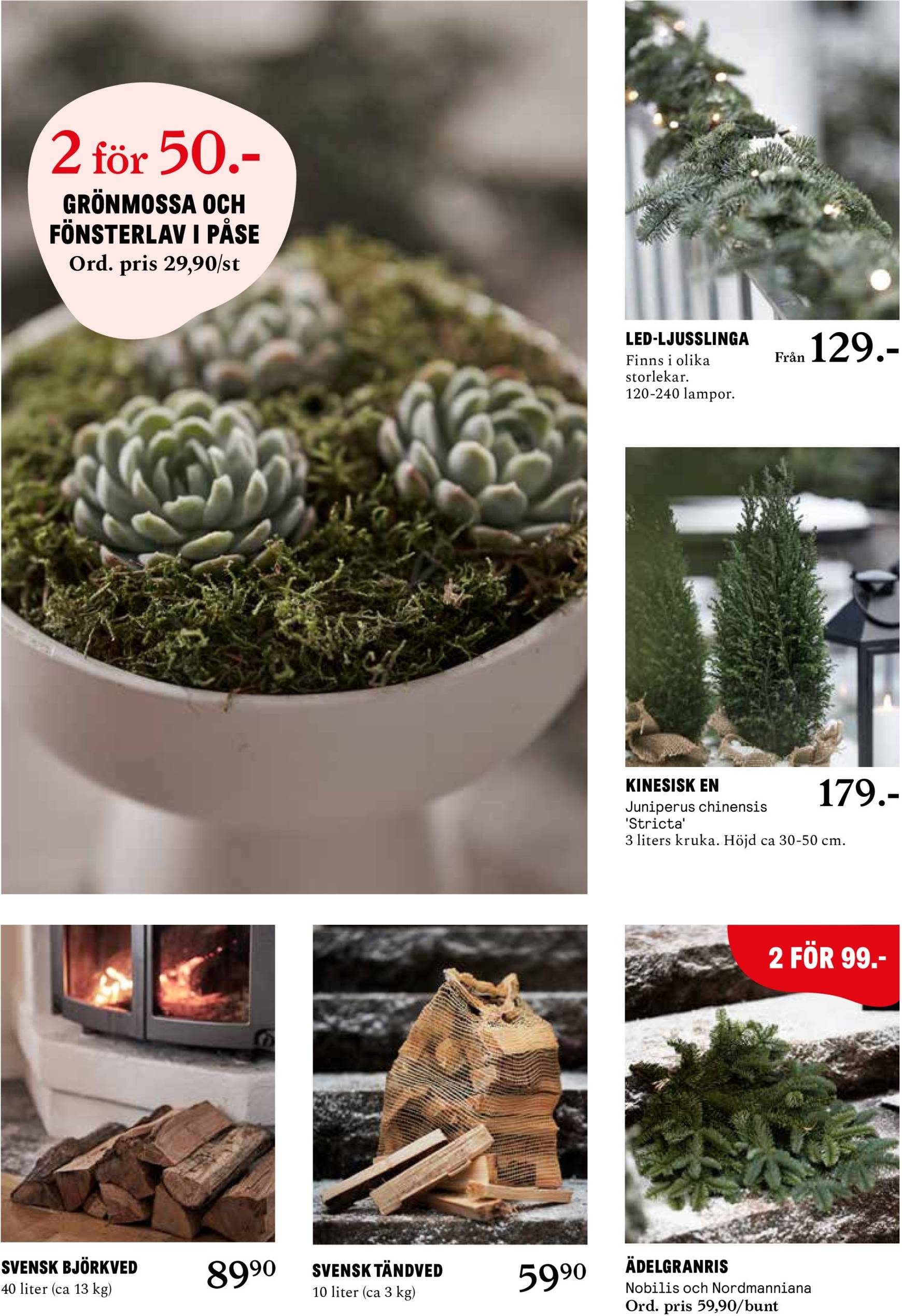 blomster-landet - Blomster Landet-reklambladet är giltigt från 25/11 - 01/12 - page: 6