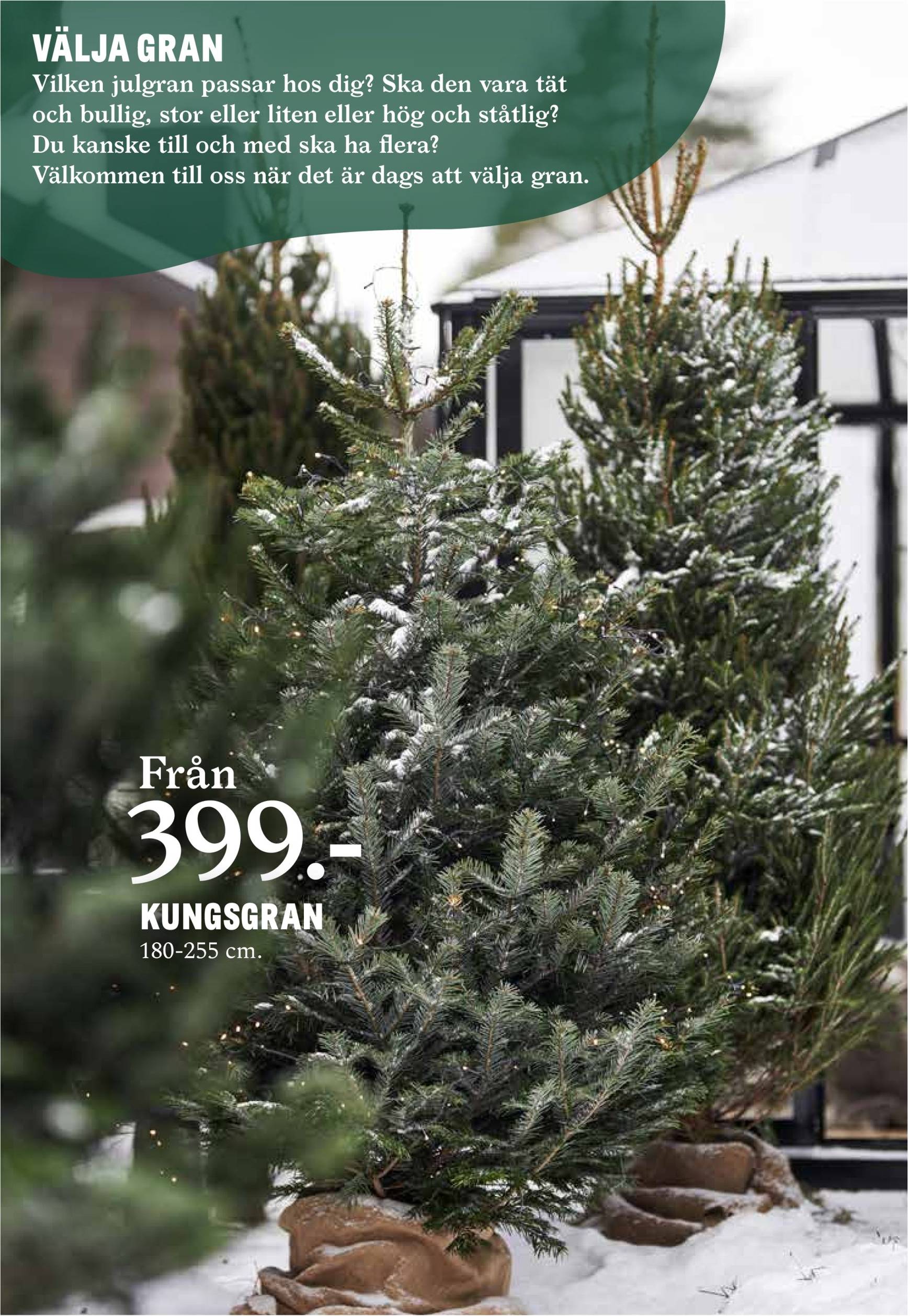 blomster-landet - Blomster Landet-reklambladet är giltigt från 02/12 - 08/12 - page: 7