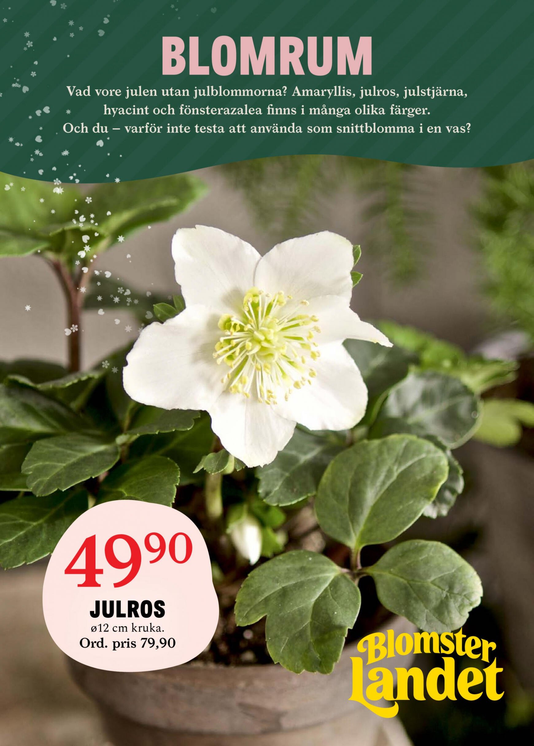 blomster-landet - Blomster Landet giltigt från och med 11.12.2023